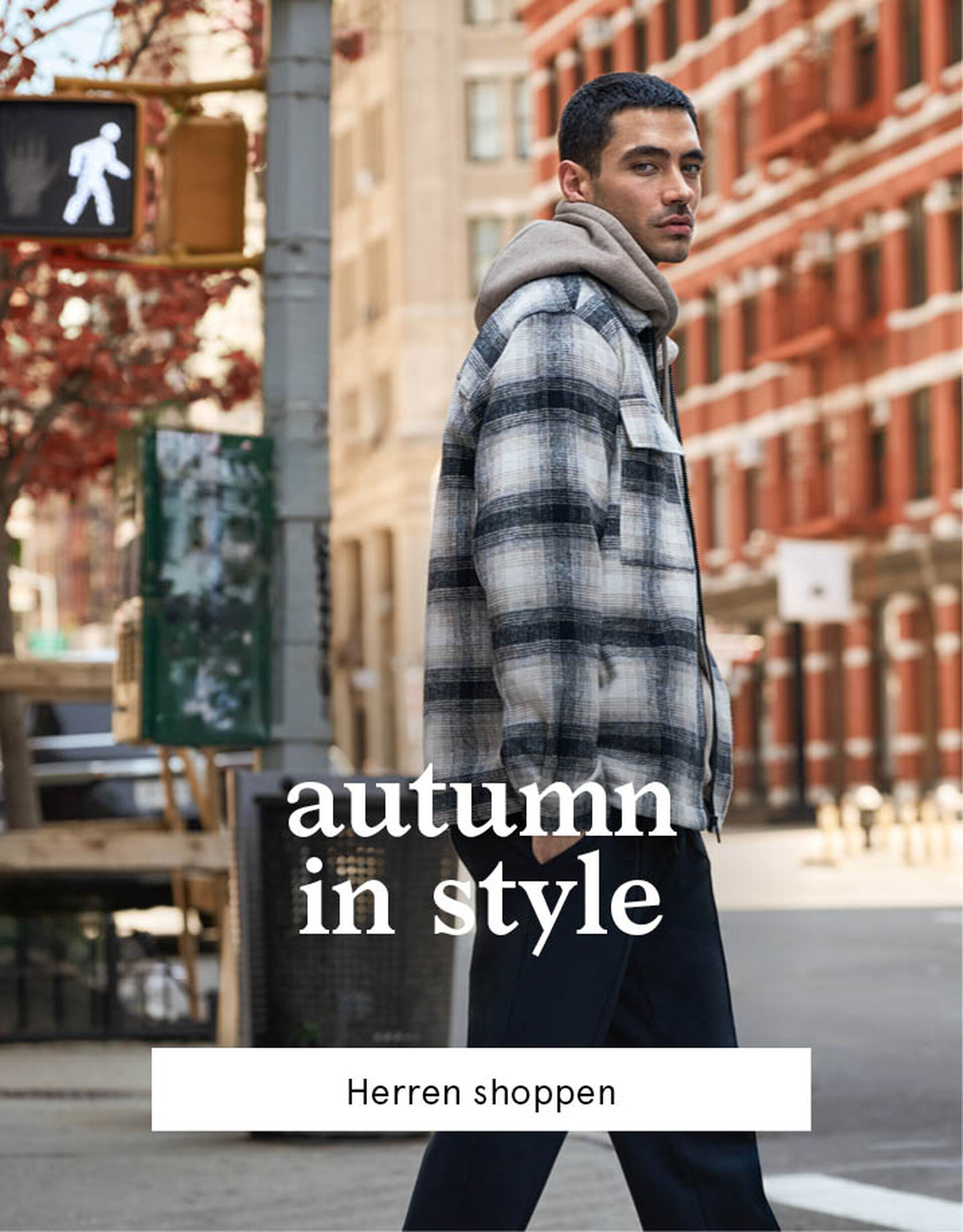 fall magazine