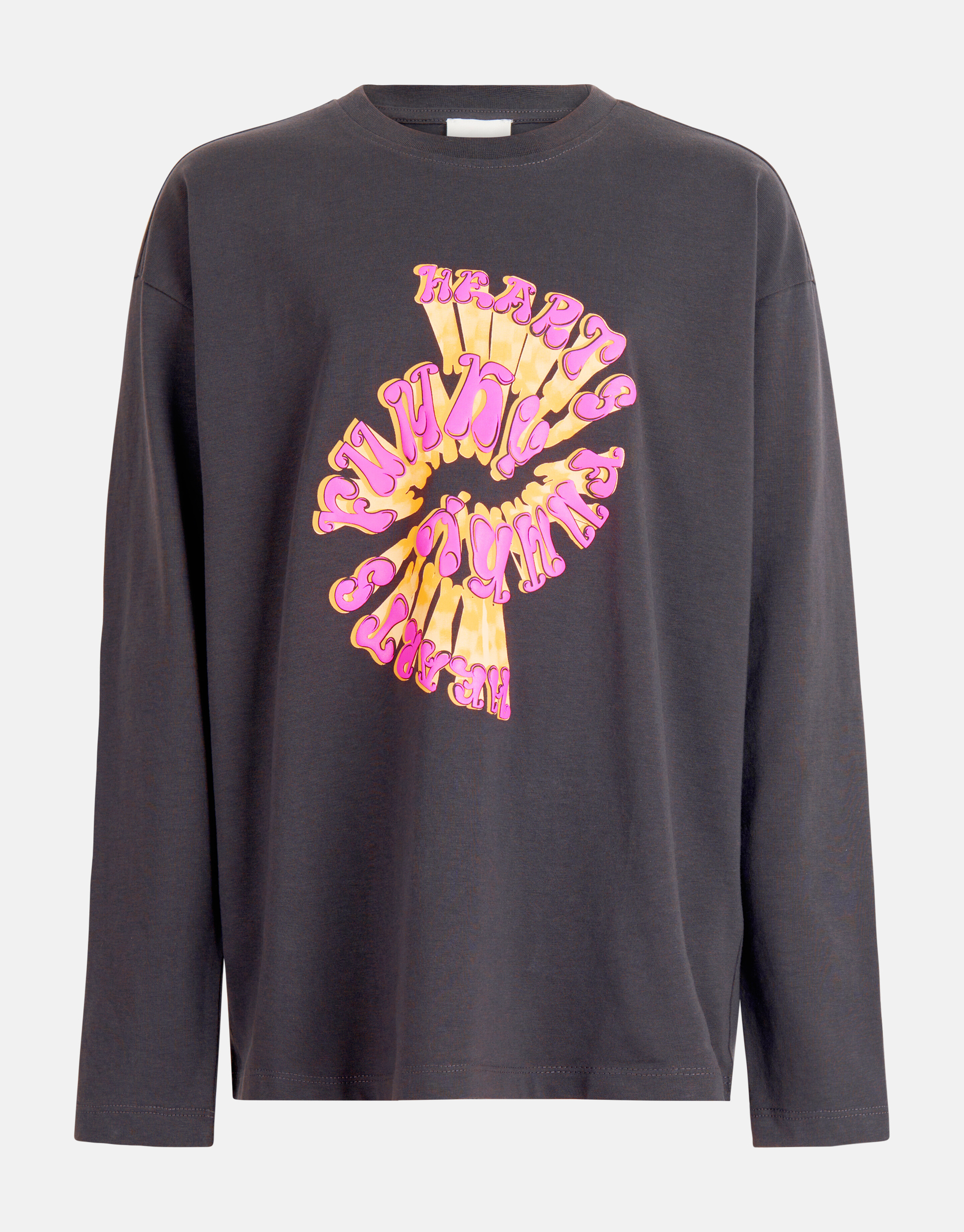 Artwork Longsleeve Dunkelgrau SHOEBY GIRLS