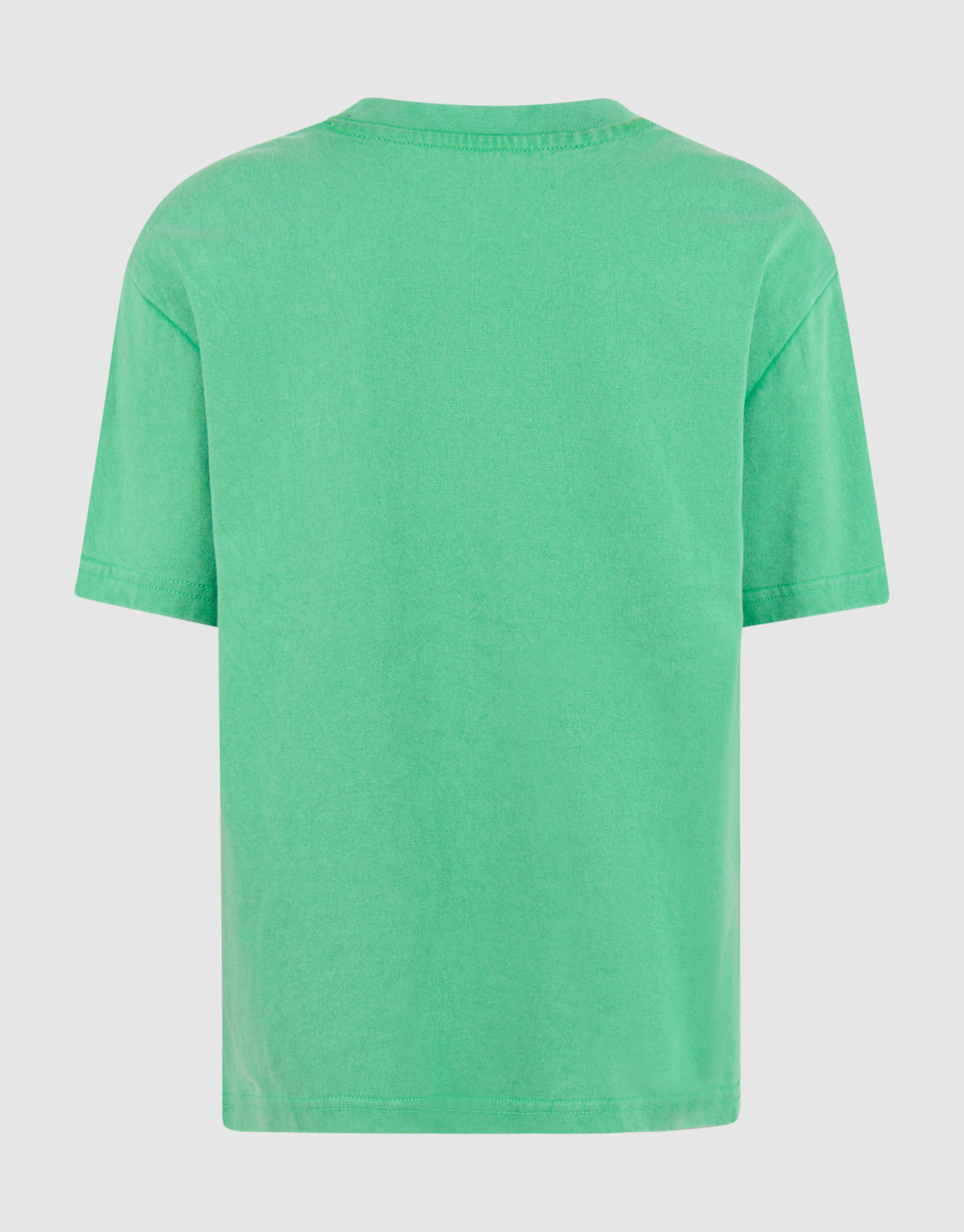 Kunstwerk T-shirt Grün SHOEBY GIRLS