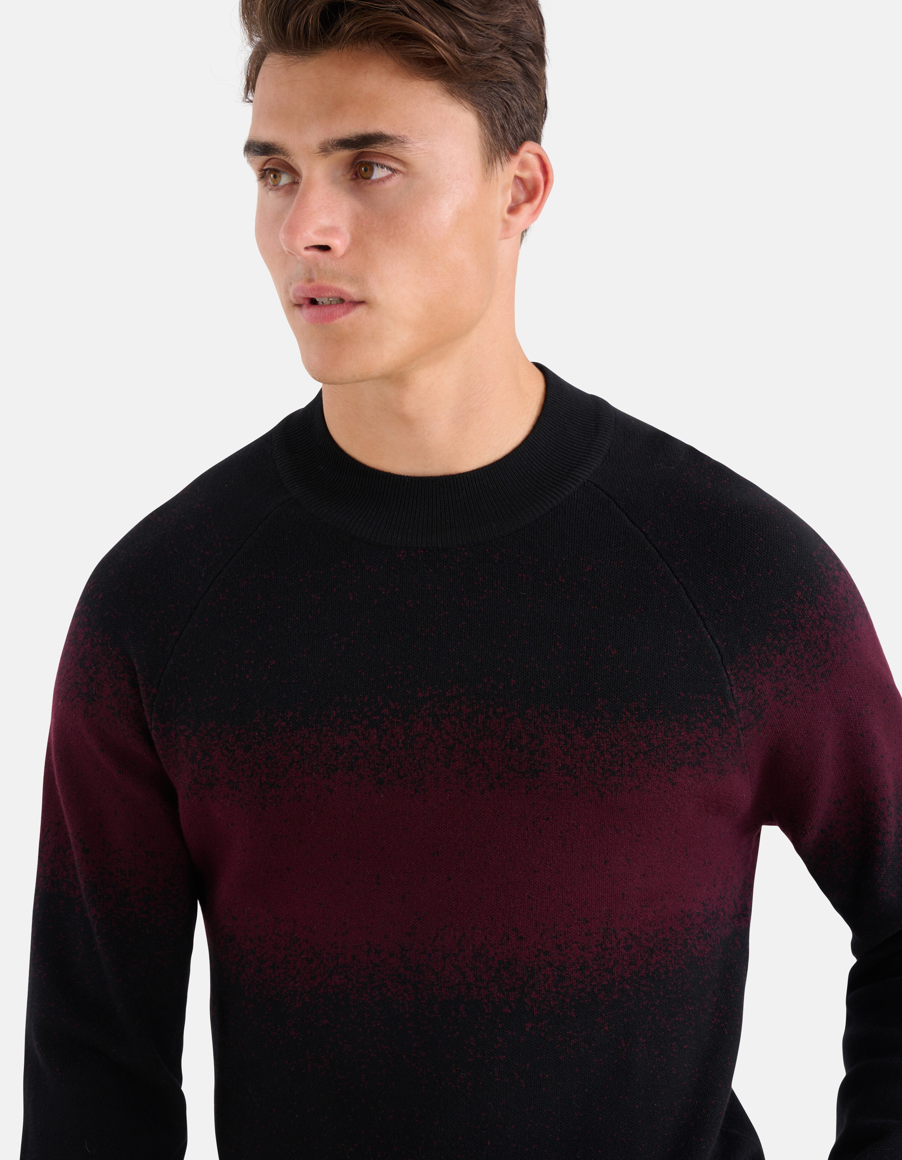 Gradient Trui Bordeaux SHOEBY MEN