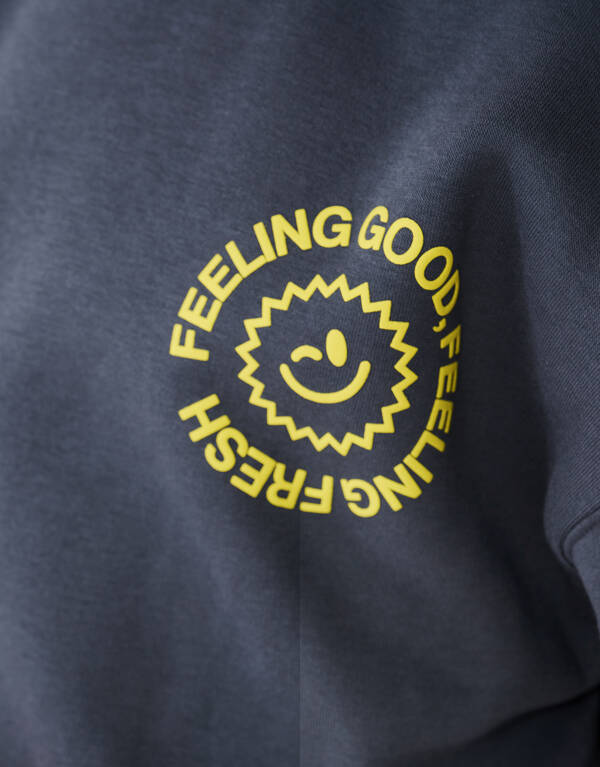 Frischer Kunstpullover Grau SHOEBY BOYS