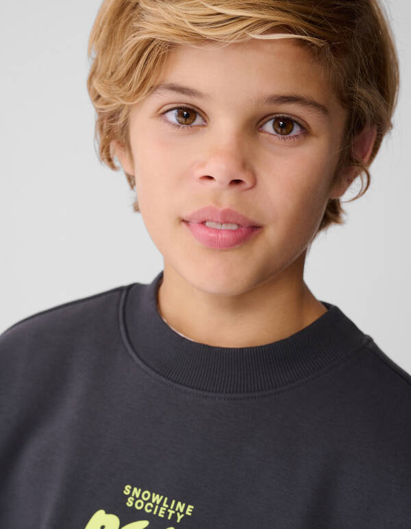 Peak Artwork Pullover Dunkelgrau SHOEBY BOYS