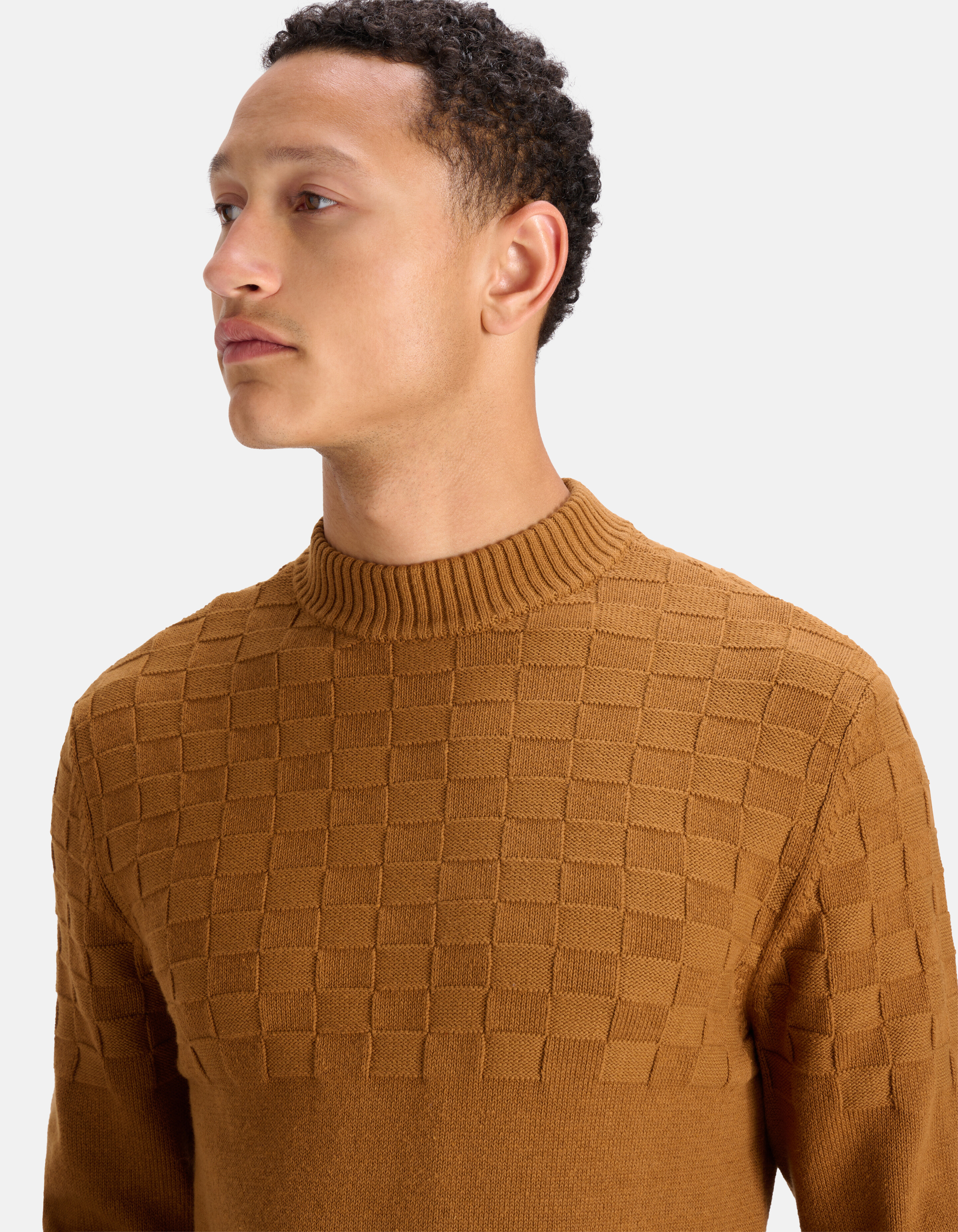 Blocked Sweater Braun SHOEBY MEN