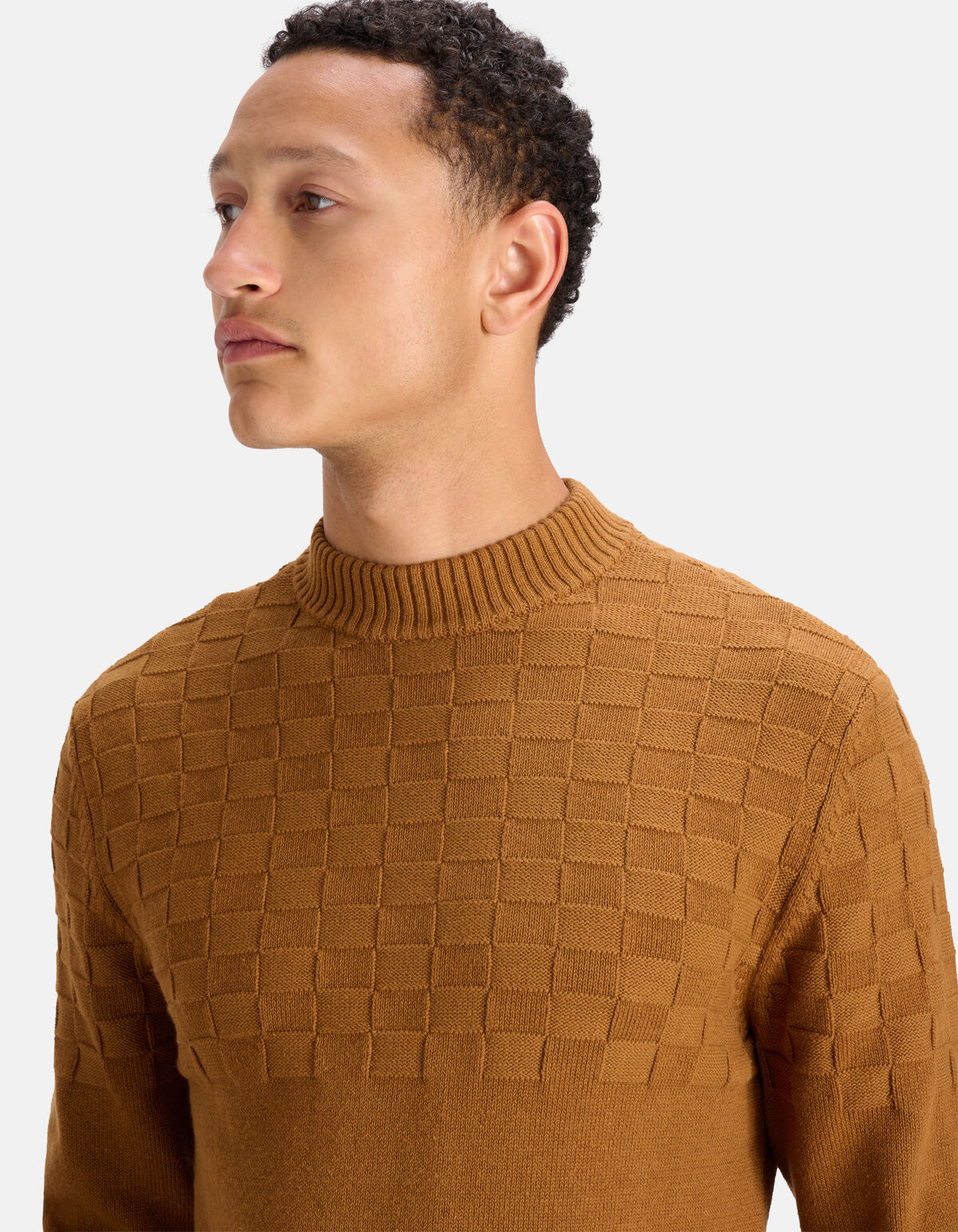 Blocked Sweater Braun SHOEBY MEN