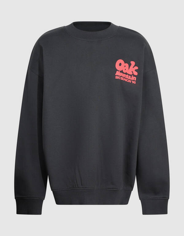 Oak Pullover Dunkelgrau SHOEBY BOYS