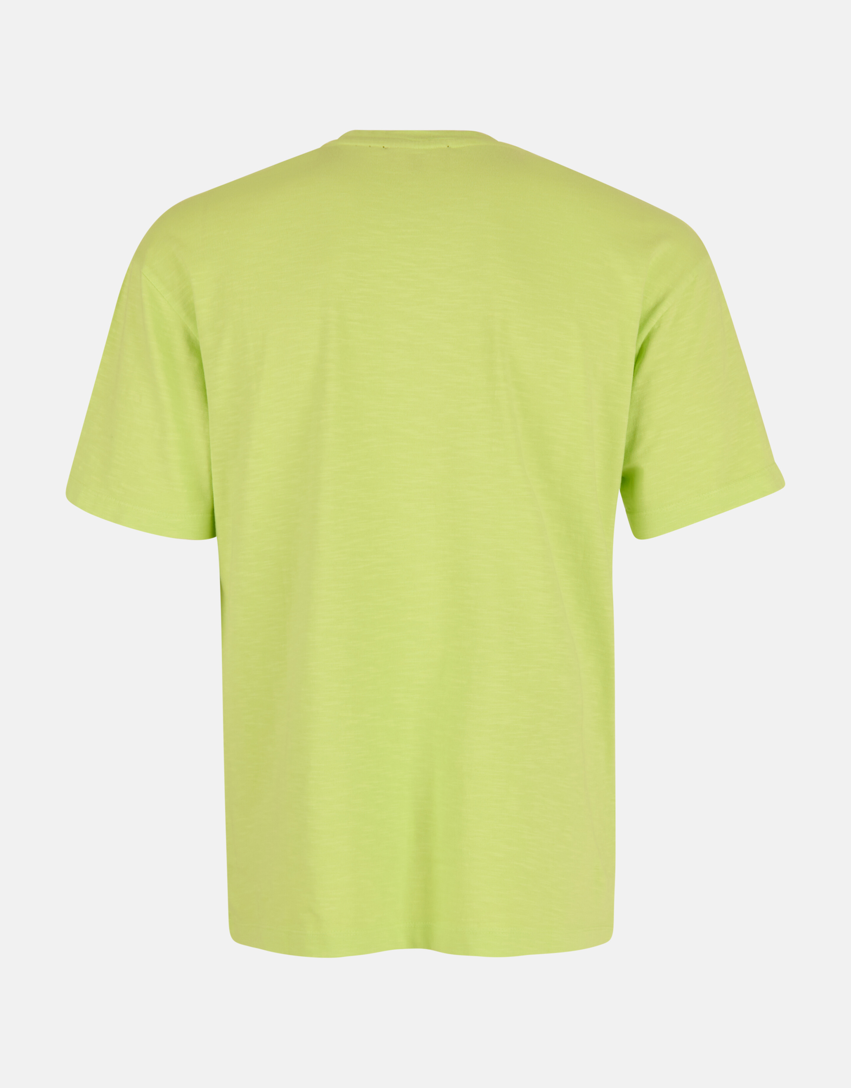 Jersey-T-Shirt Hellgrün SHOEBY MEN