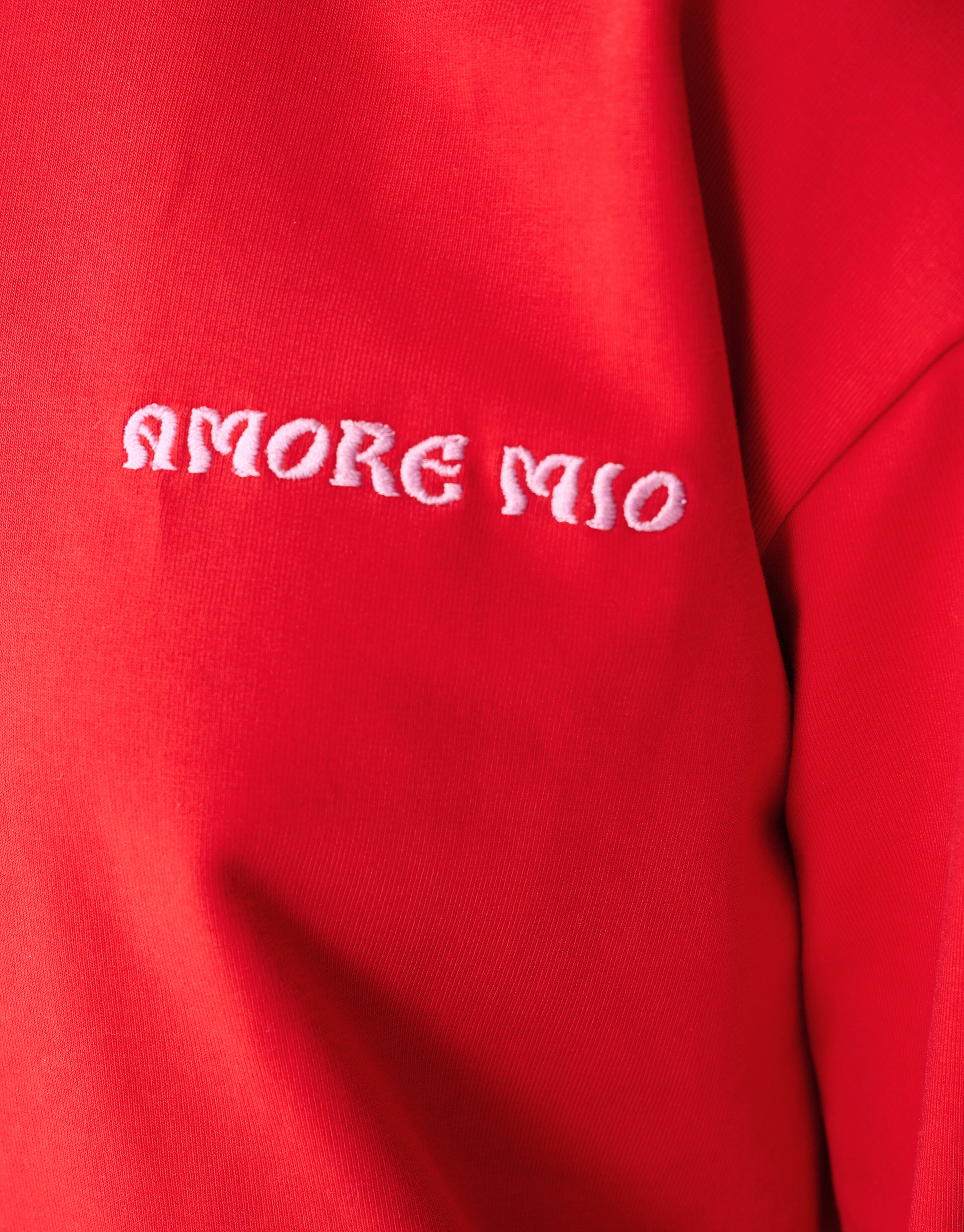 Sportlicher Amore Pullover Rot SHOEBY GIRLS