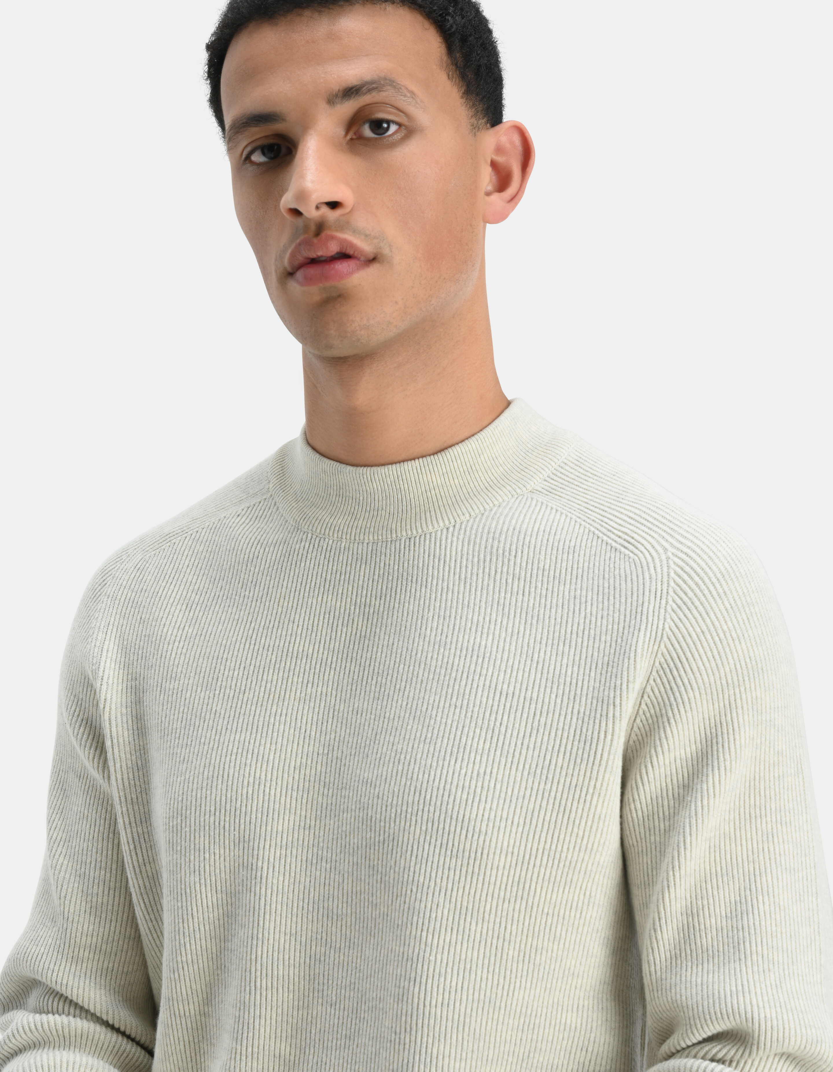 Rippenpullover SHOEBY MEN