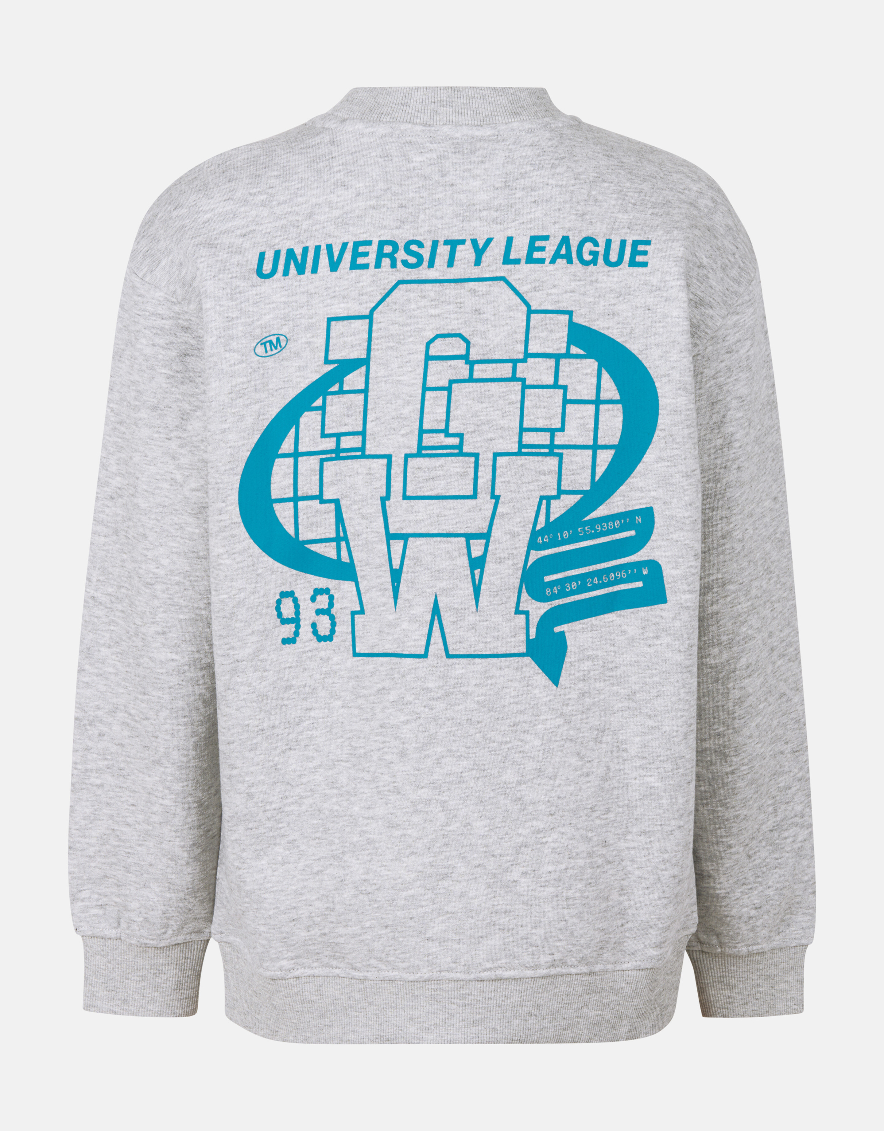 Pullover mit grafischem Aufdruck Grau SHOEBY BOYS