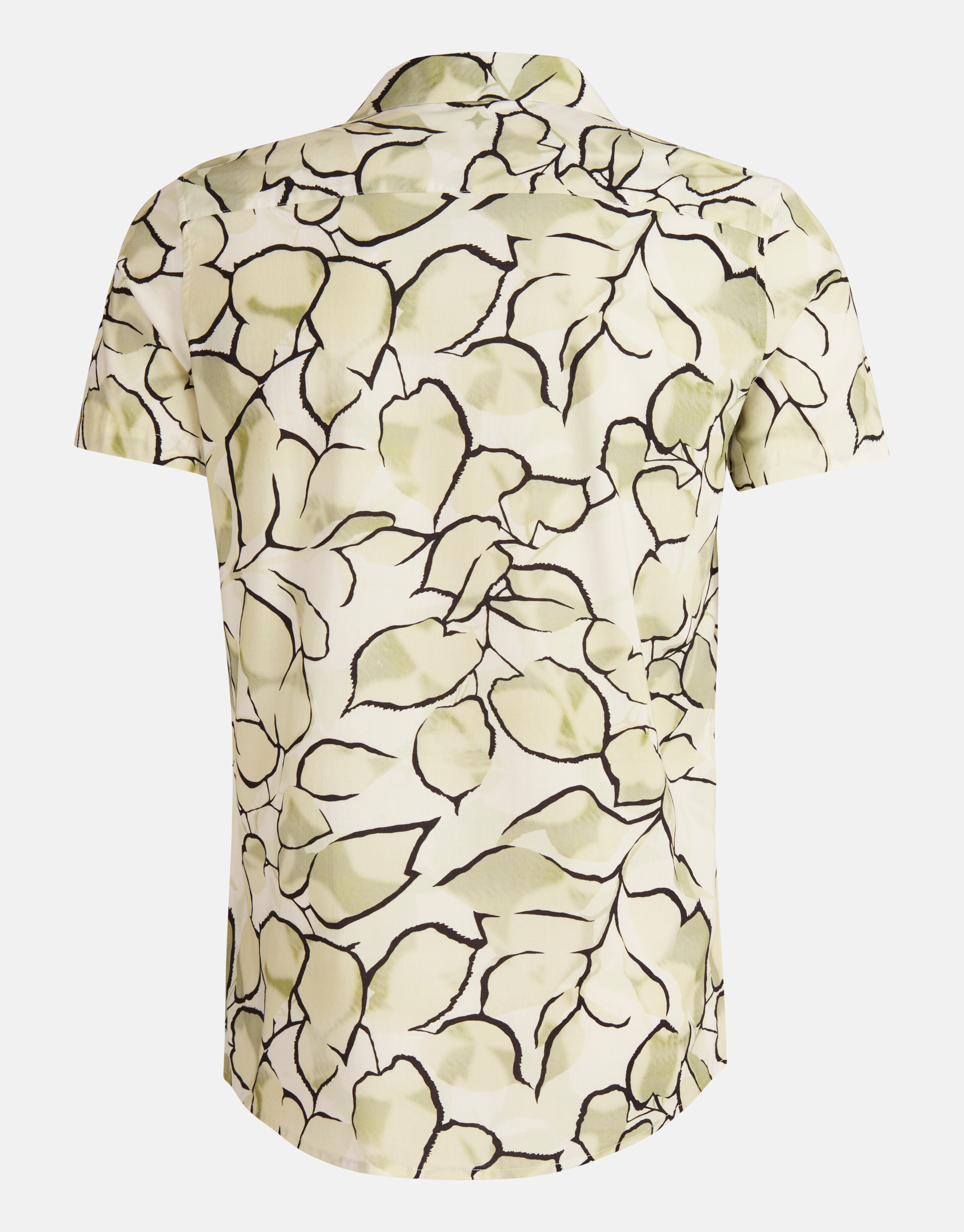 Artwork Shirt Hellgrün SHOEBY MEN