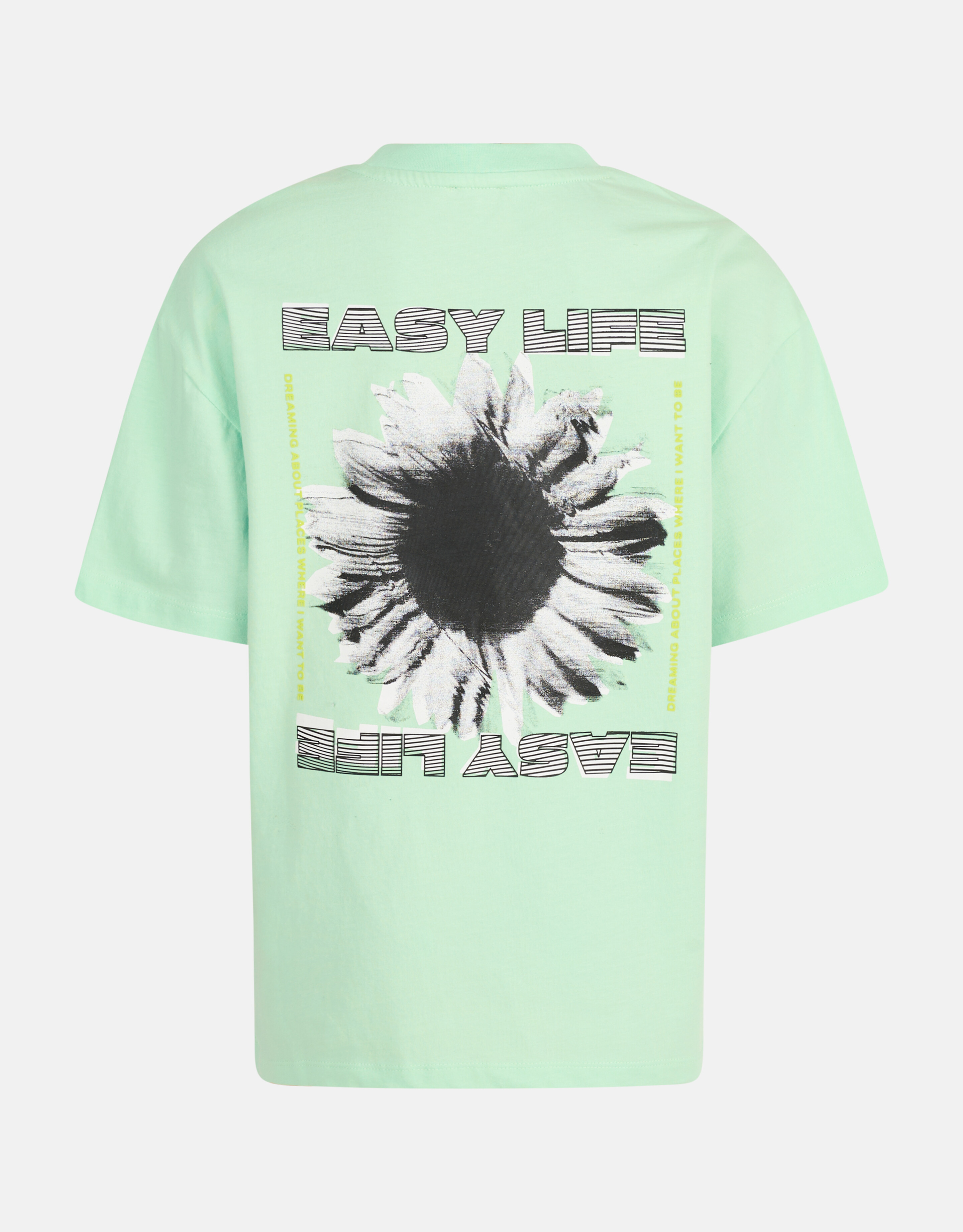Artwork T-shirt Hellgrün SHOEBY BOYS