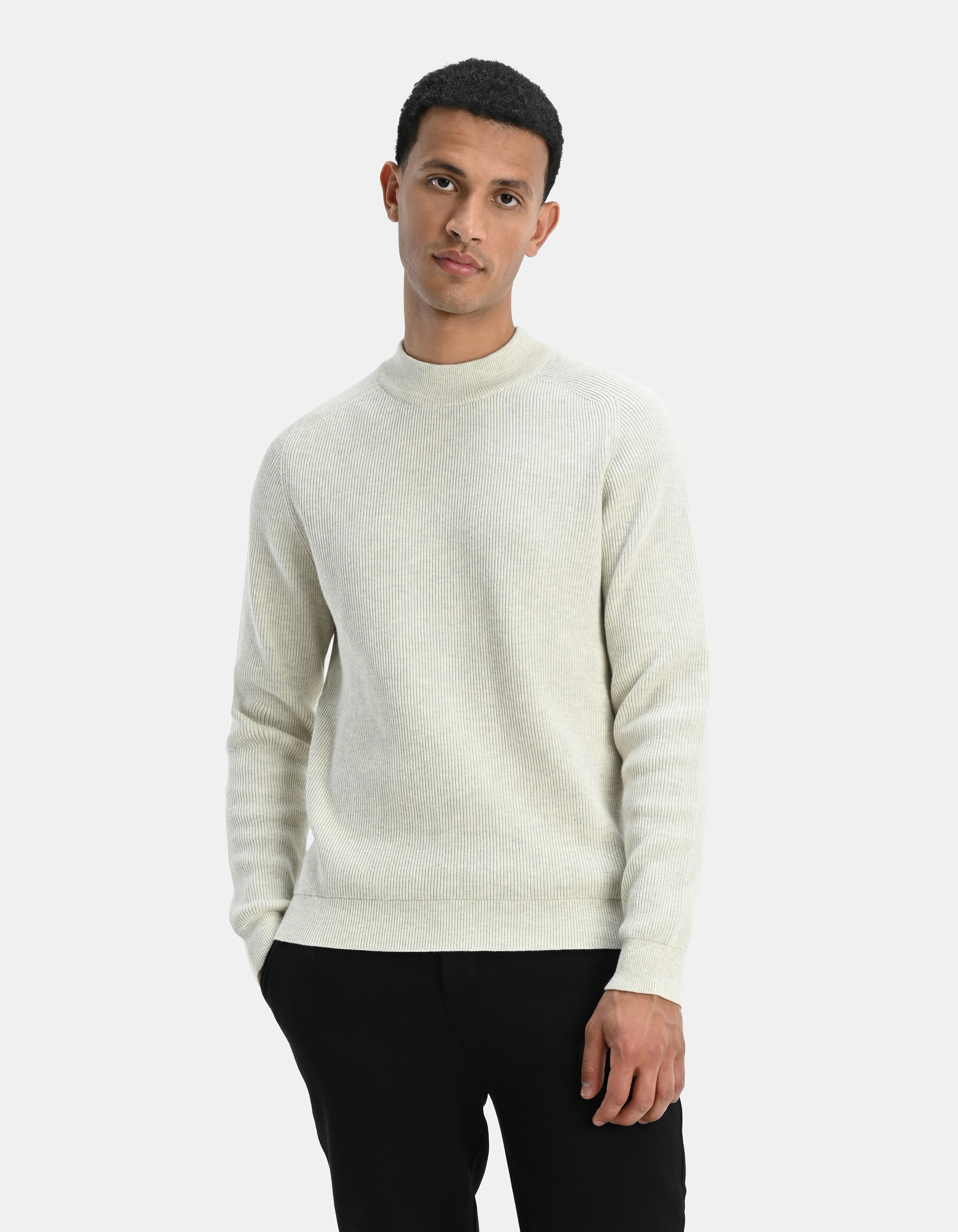 Rippenpullover SHOEBY MEN