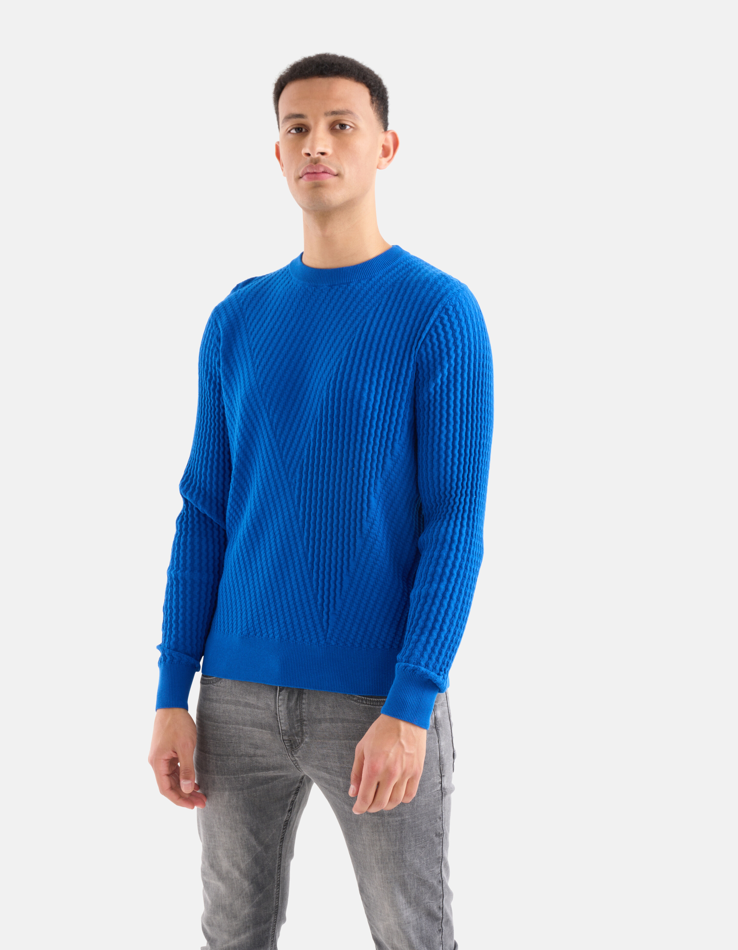 Gestreifter Pullover Blau SHOEBY MEN