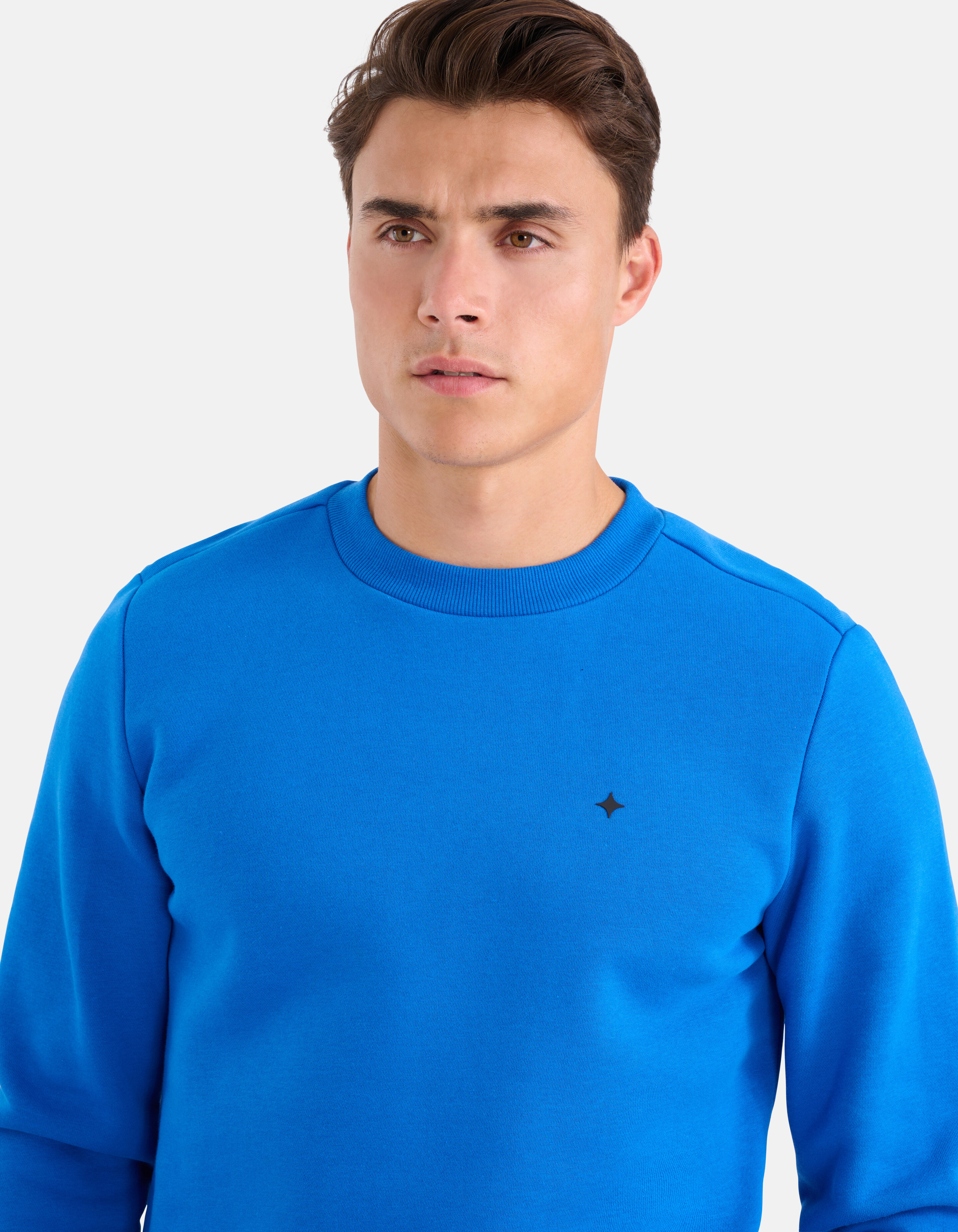 Glitzernder Pullover Blau SHOEBY MEN