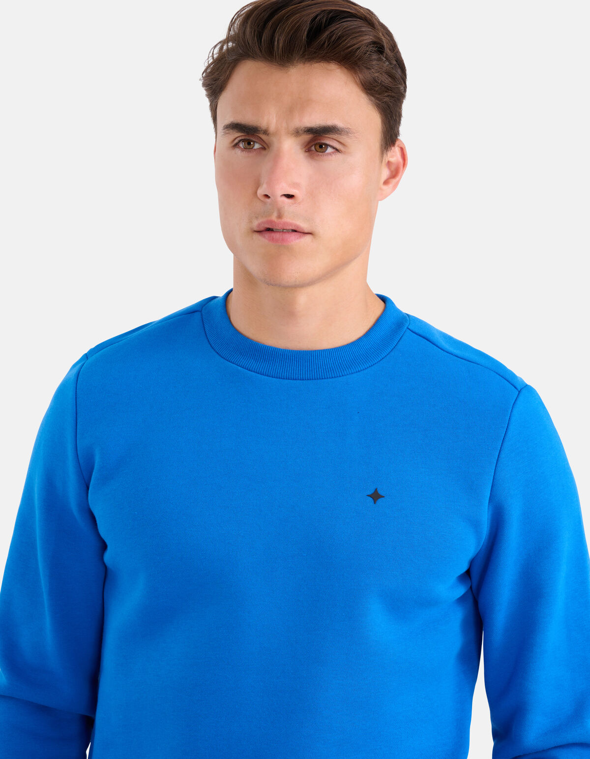Glitzernder Pullover Blau SHOEBY MEN