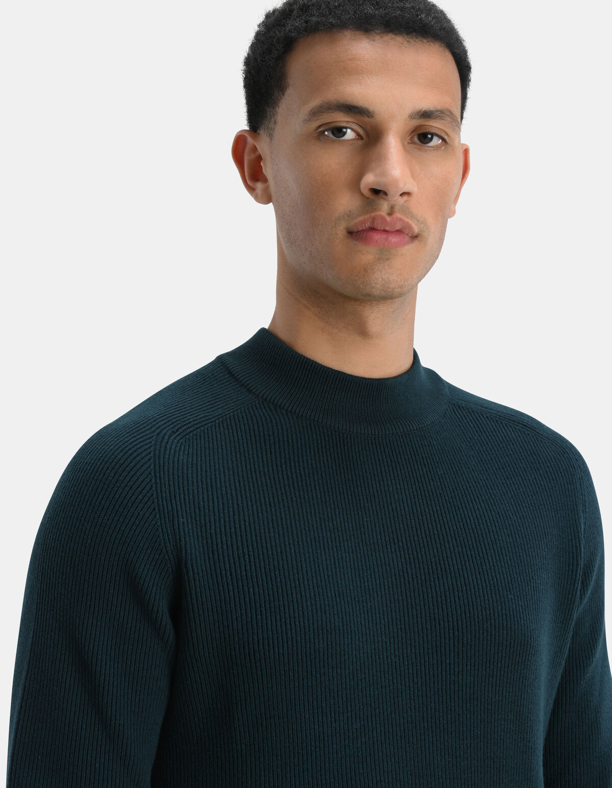 Rippenpullover SHOEBY MEN