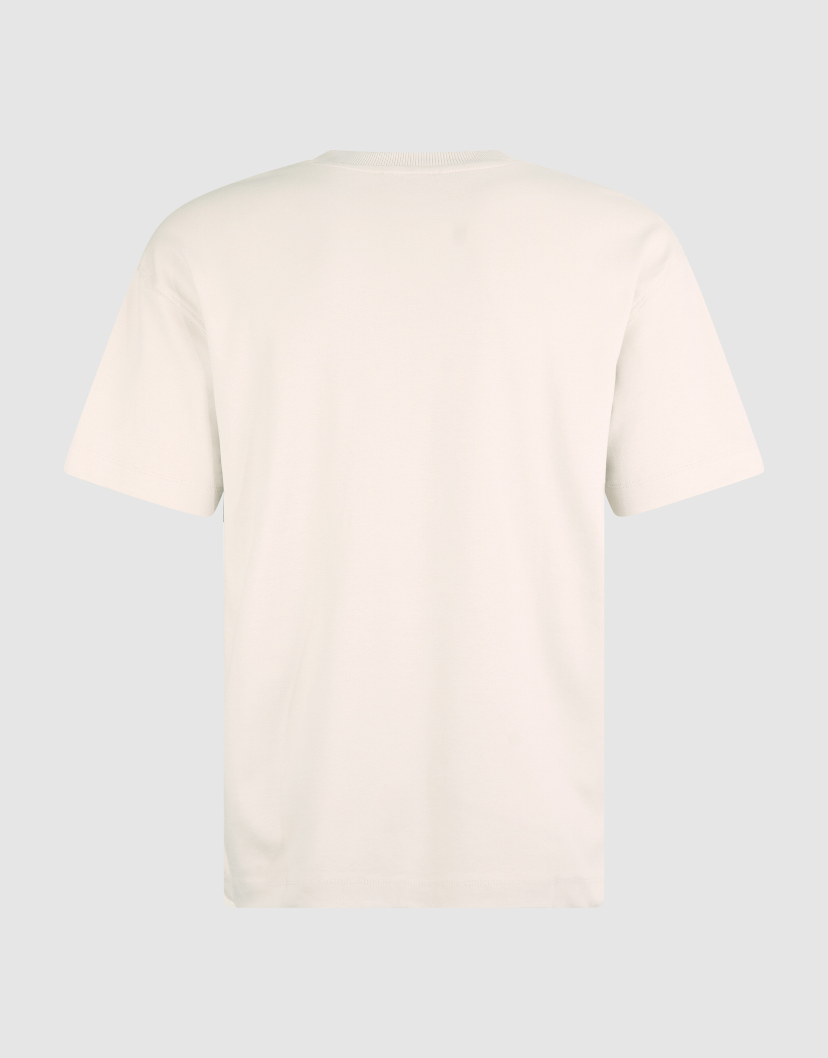Besticktes Logo-T-Shirt Beige SHOEBY MEN