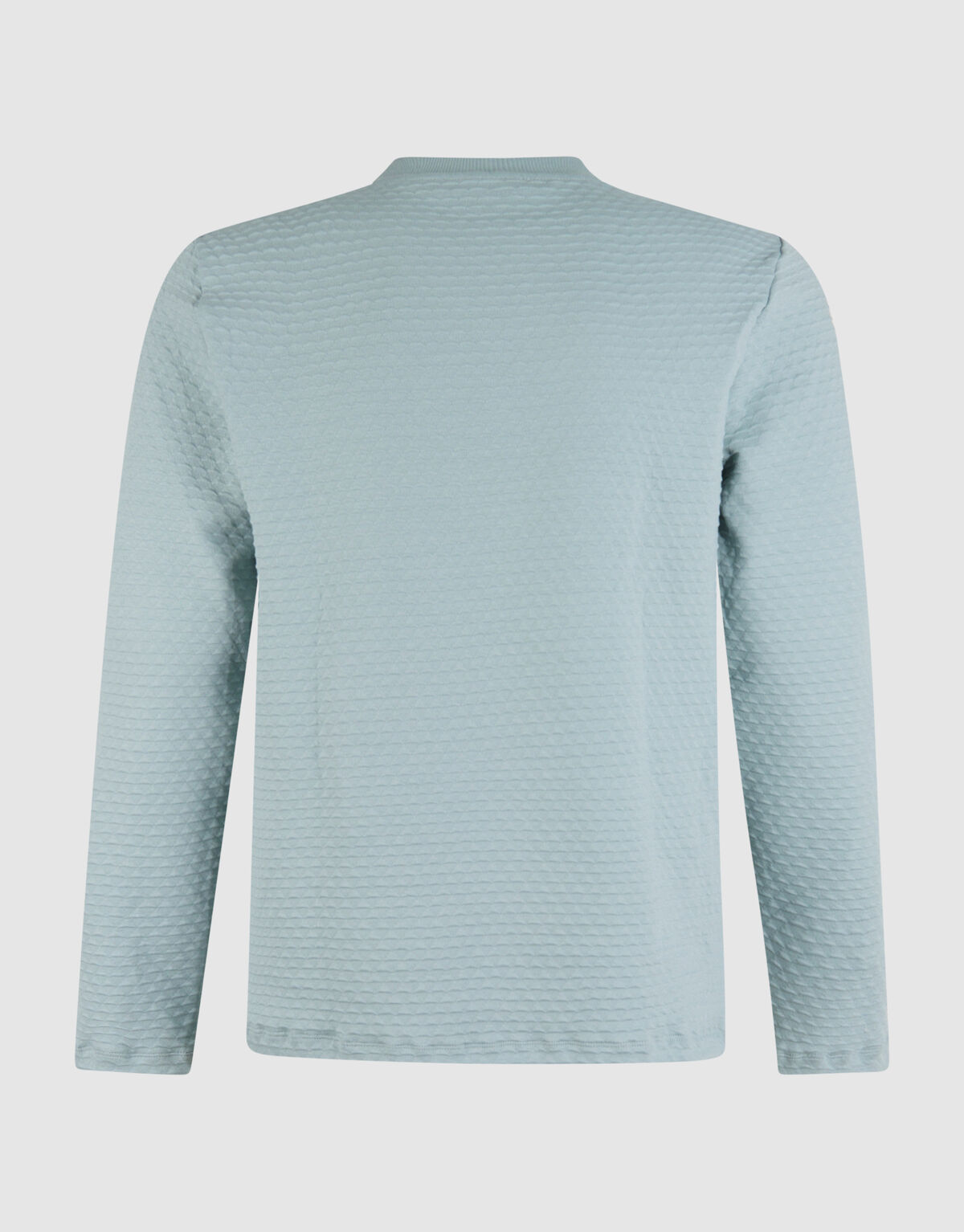 Struktur Langarmshirt Hellgr&uuml;n SHOEBY MEN