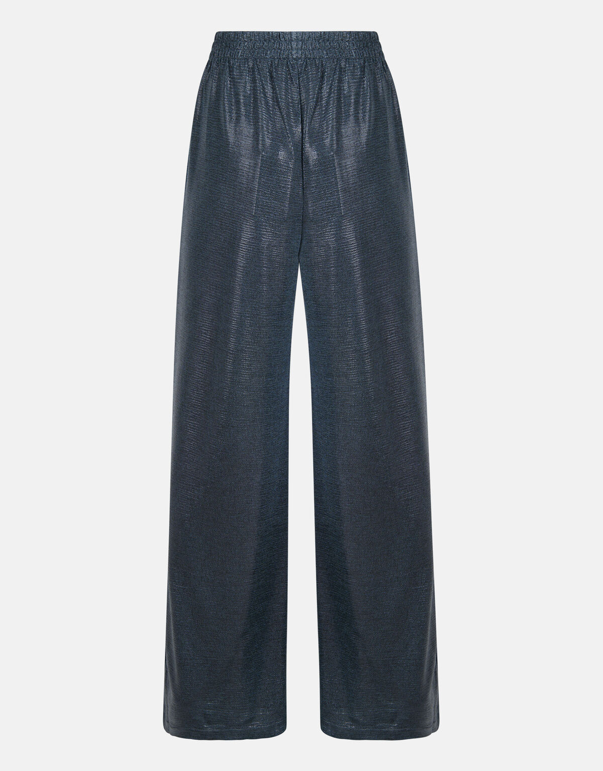 Glänzende Hose Blau SHOEBY WOMEN