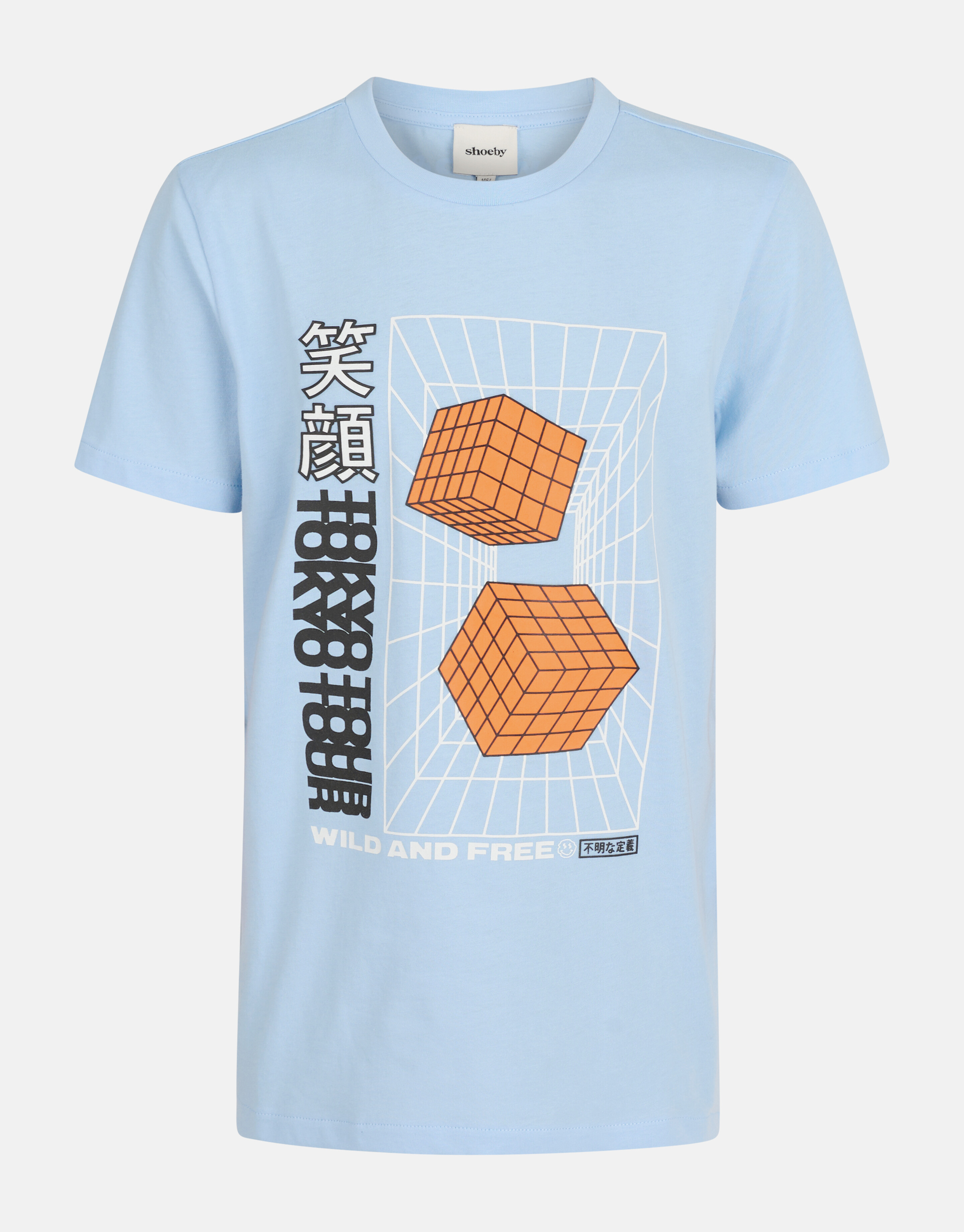 Graphic Artwork T-Shirt Hellblau SHOEBY BOYS