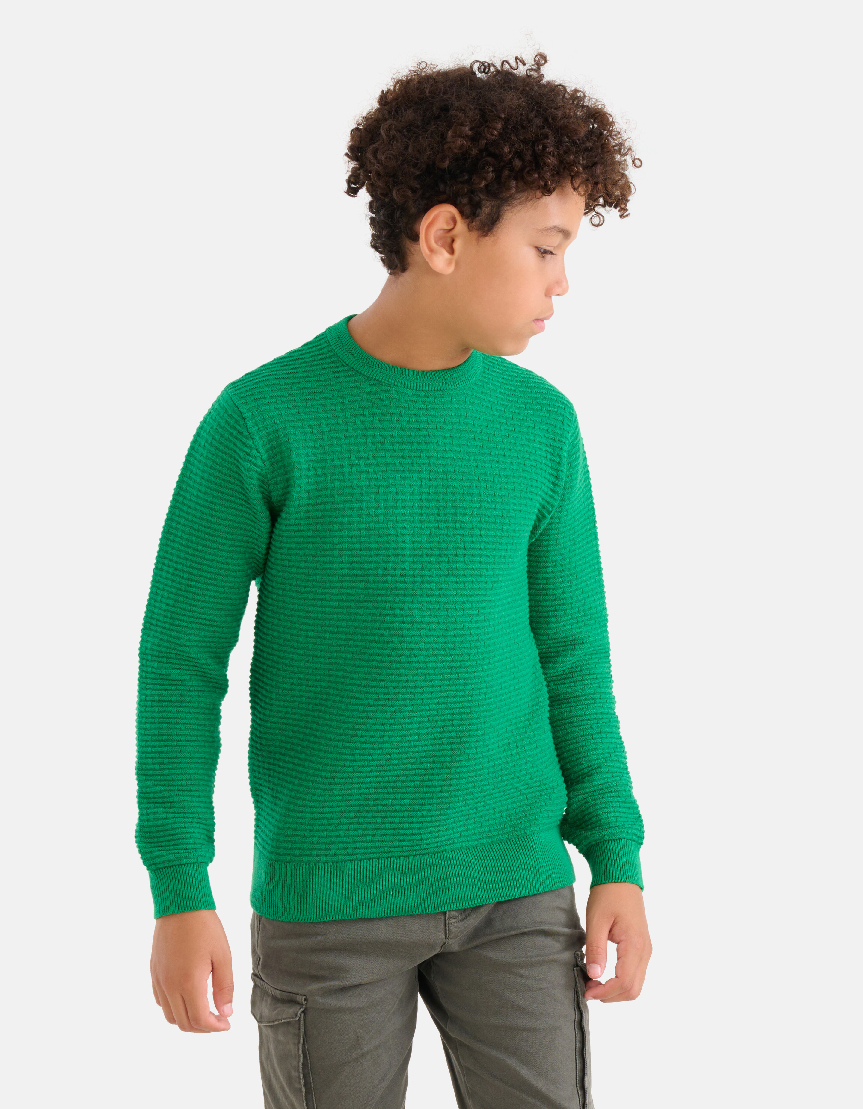 Strukturierter Pullover Grün SHOEBY BOYS