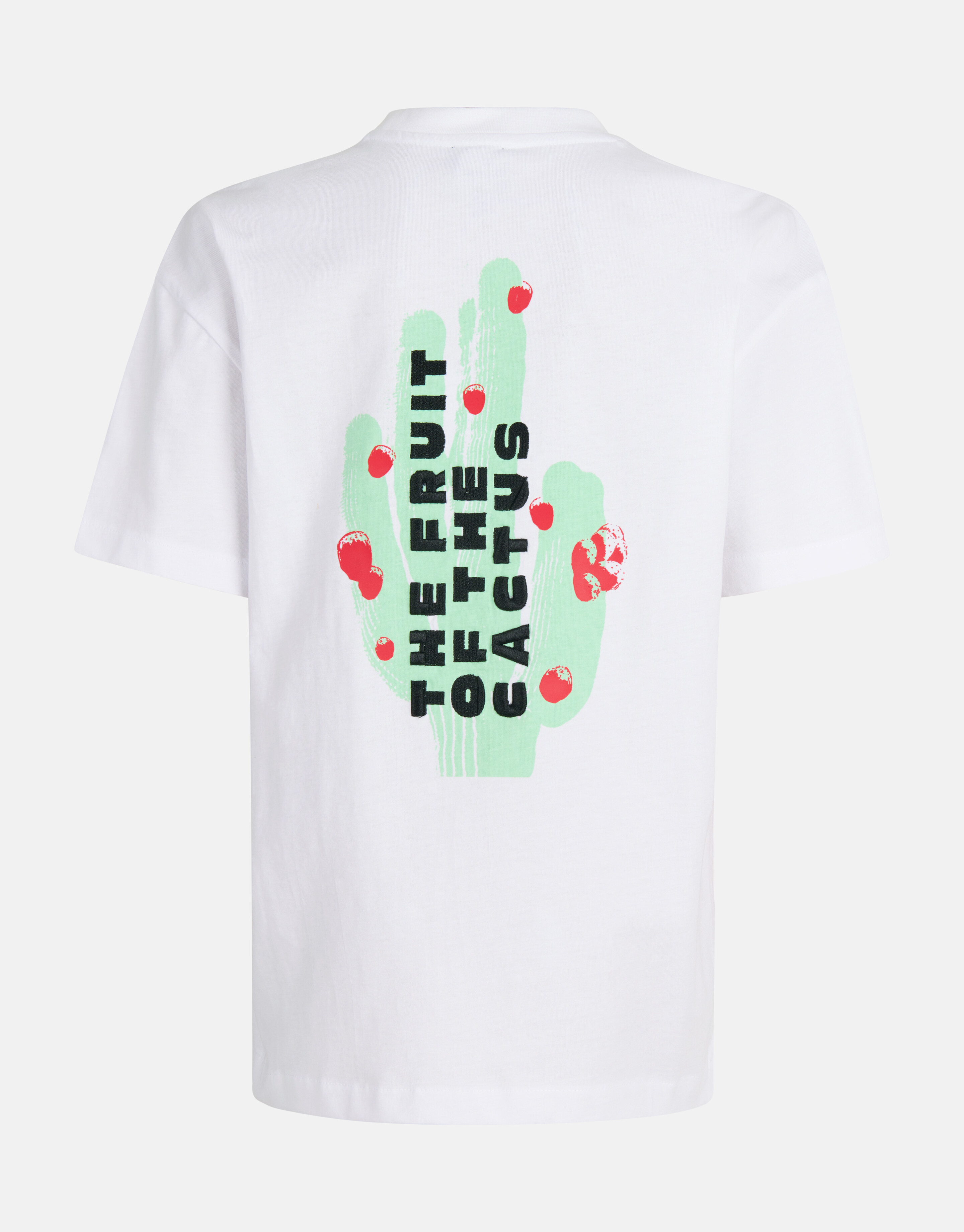 Artwork T-shirt Weiß SHOEBY BOYS