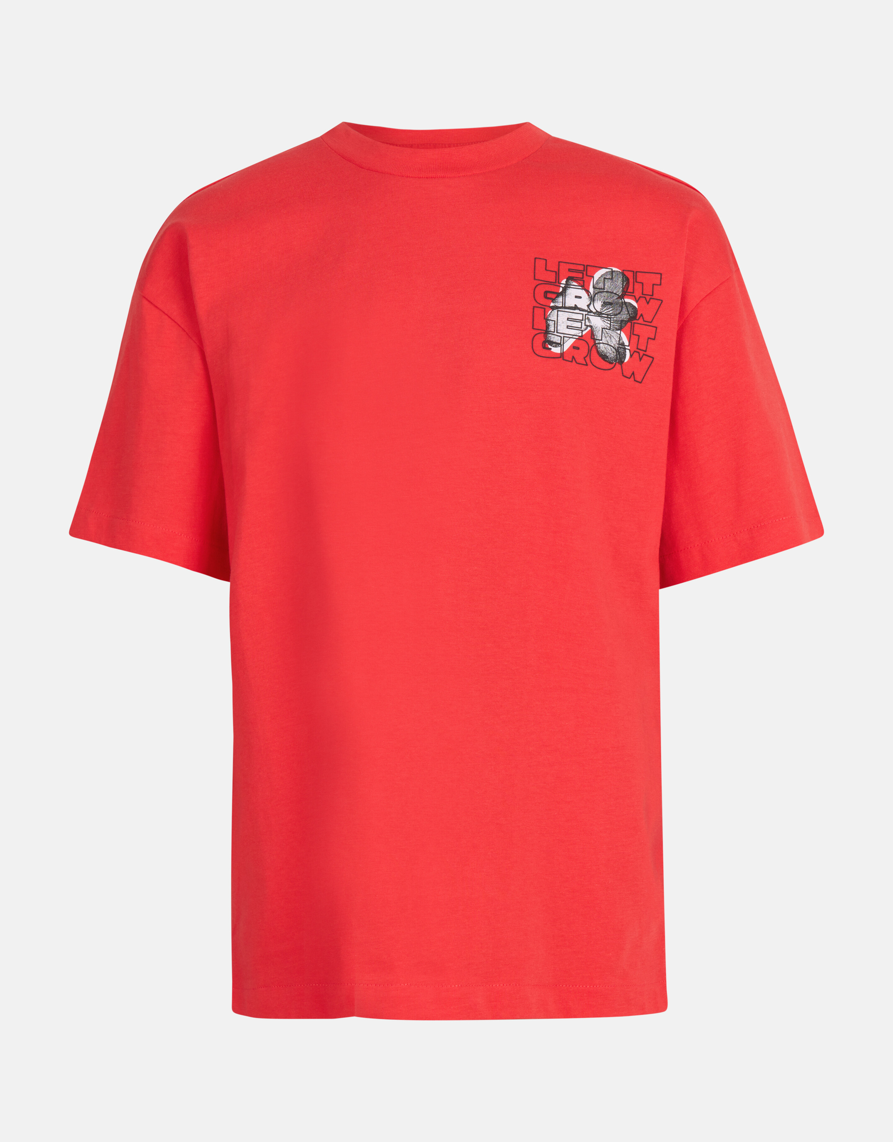 Kunstwerk T-shirt Rot SHOEBY BOYS