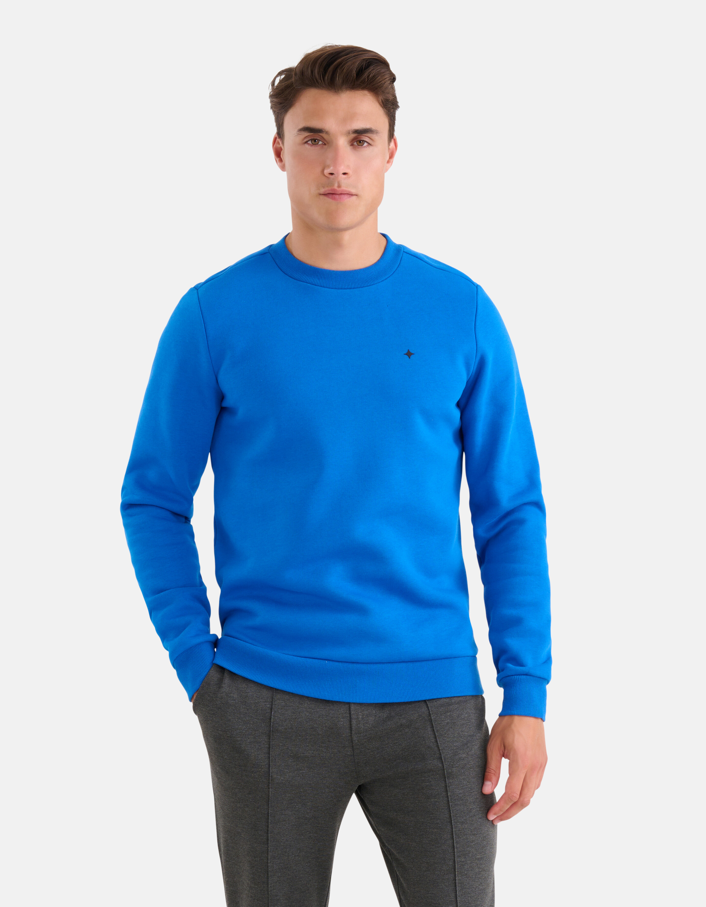 Glitzernder Pullover Blau SHOEBY MEN
