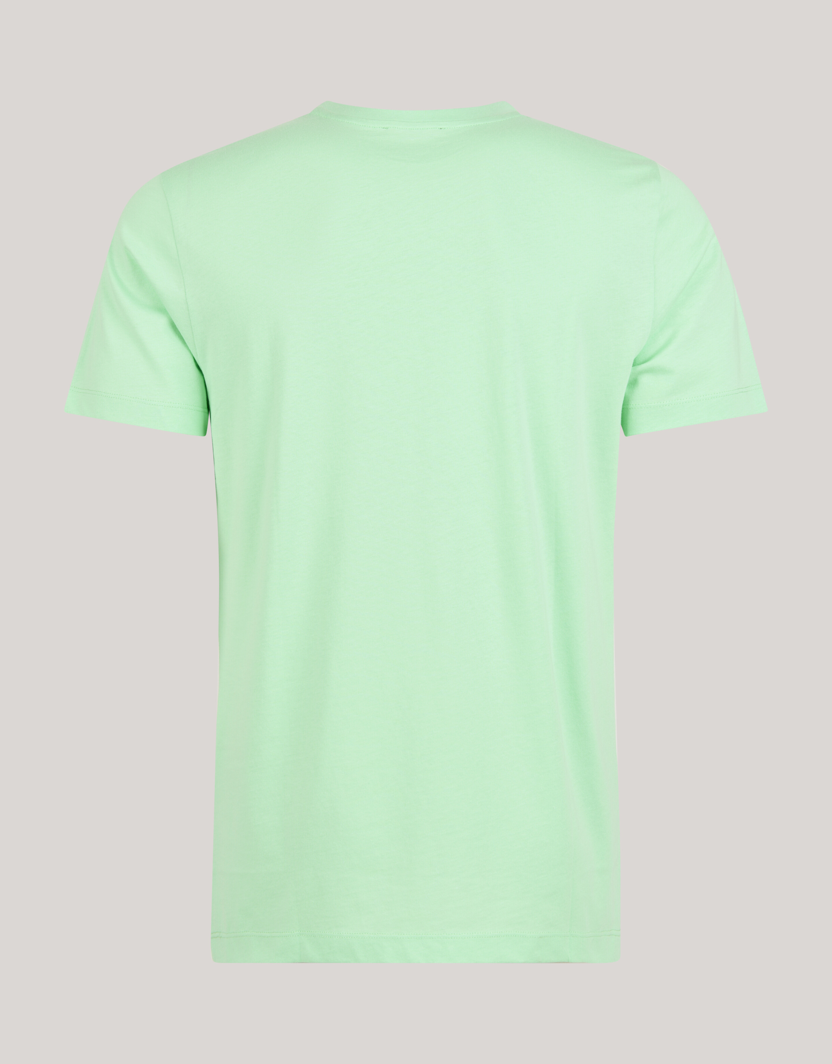 Kunst-T-Shirt Hellgrün SHOEBY MEN