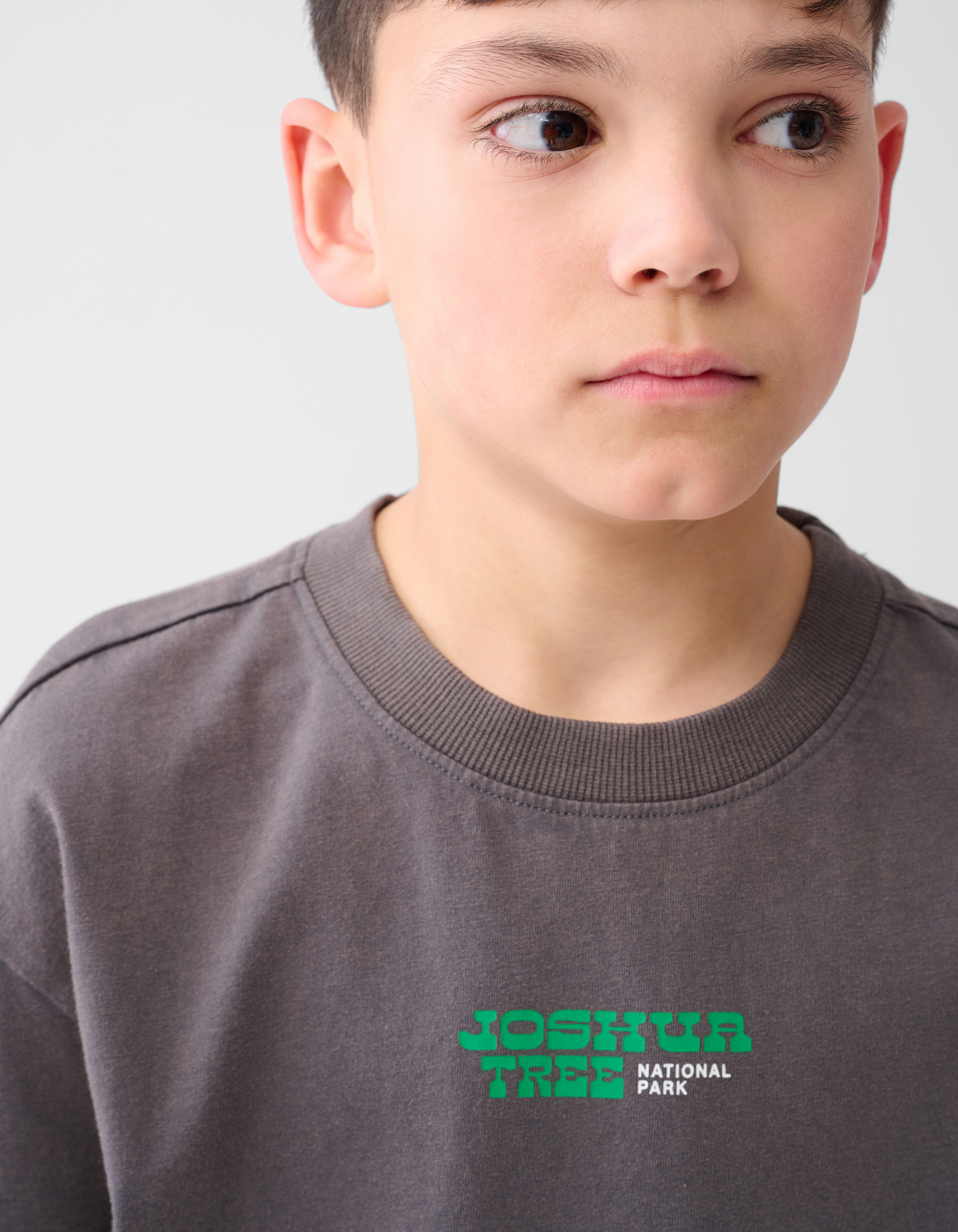 Park Artwork T-Shirt Dark Grey SHOEBY BOYS