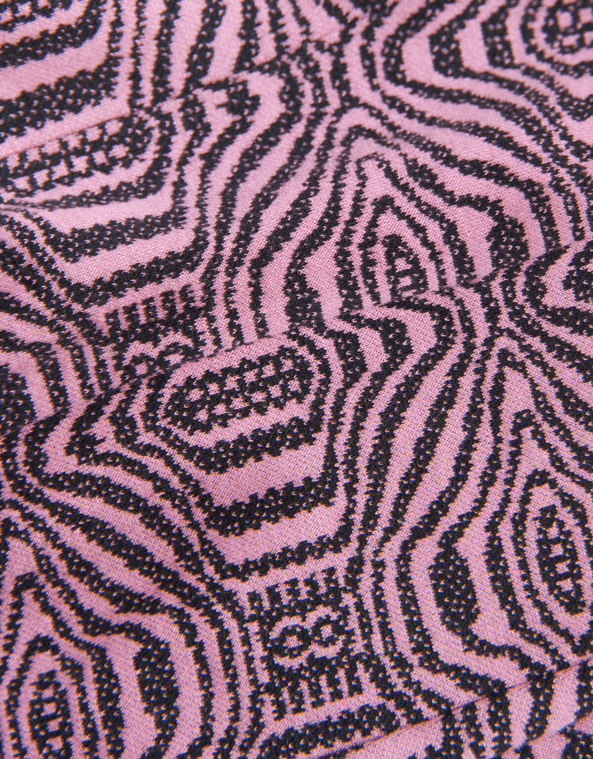 Flair Hose Jacq SHOEBY GIRLS