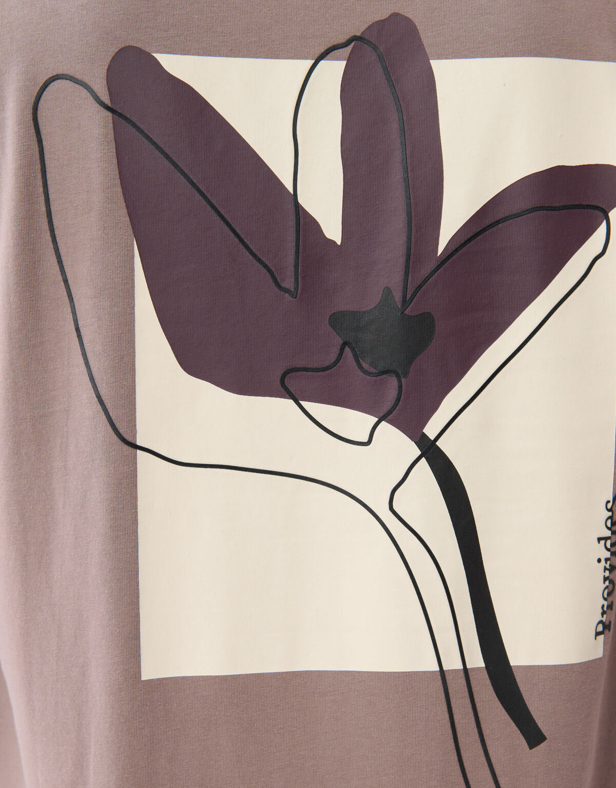 Blumen-T-Shirt Hellbraun SHOEBY MEN