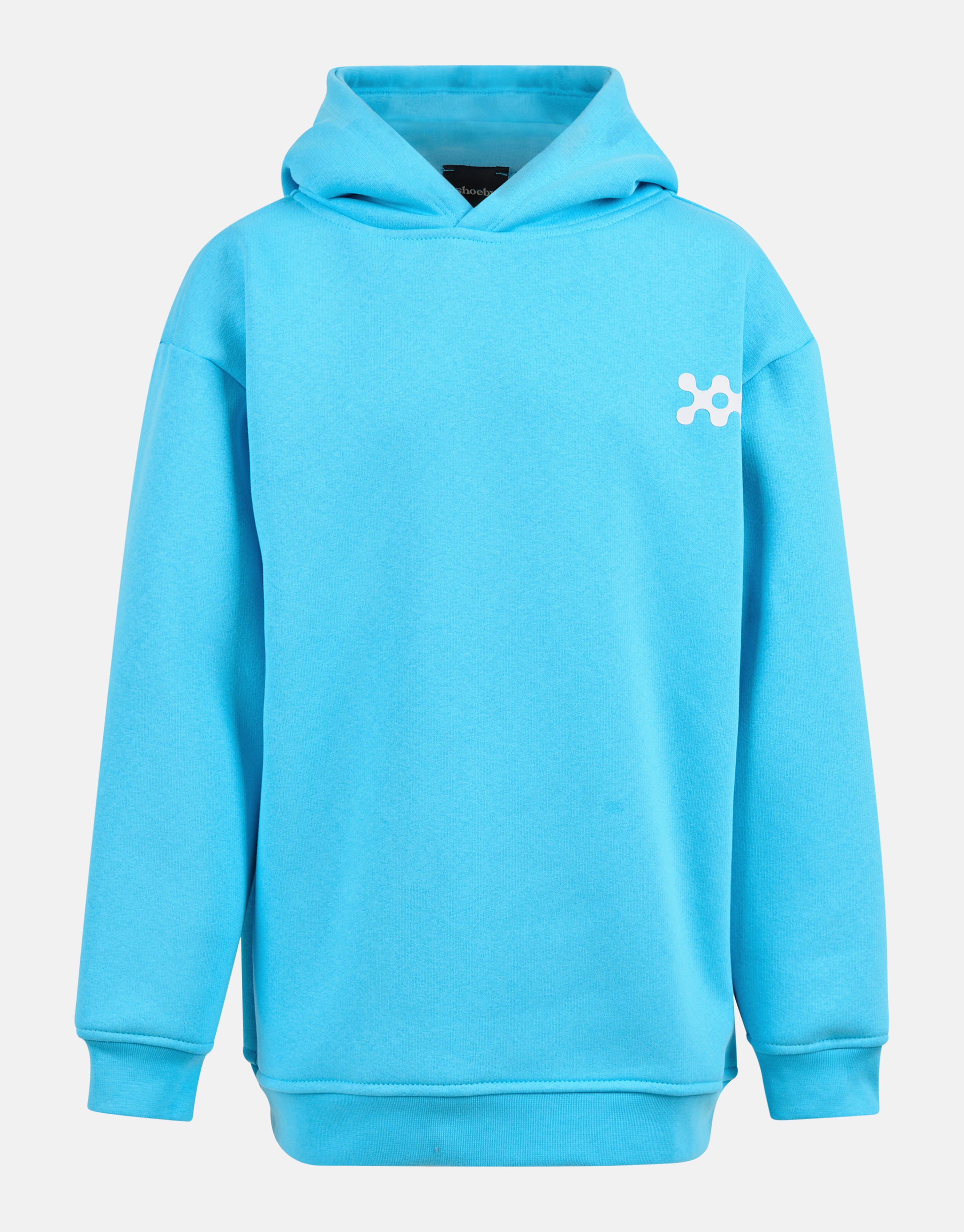 Basis Hoodie Lichtblauw SHOEBY BOYS