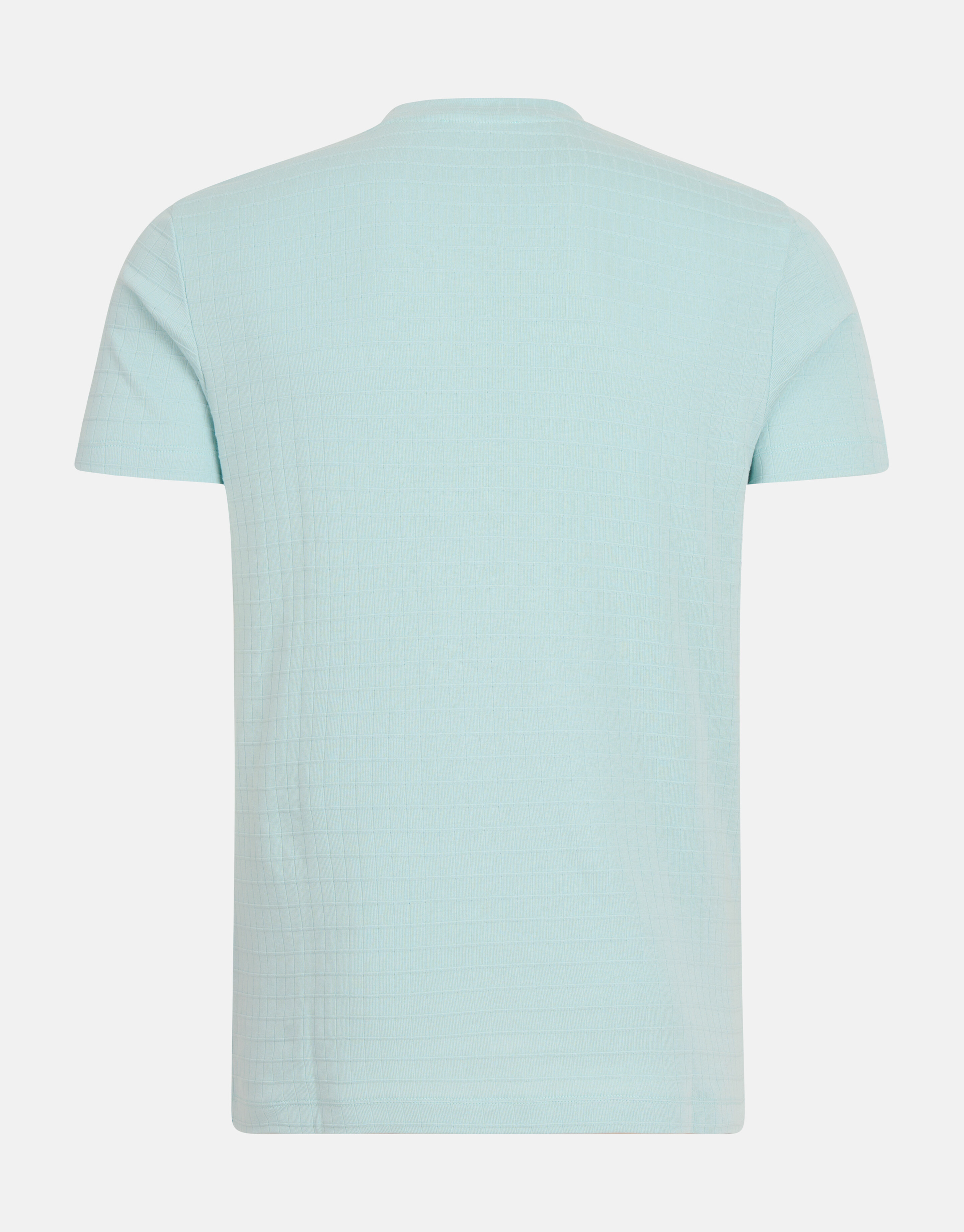 Struktur-T-Shirt Hellgrün SHOEBY MEN
