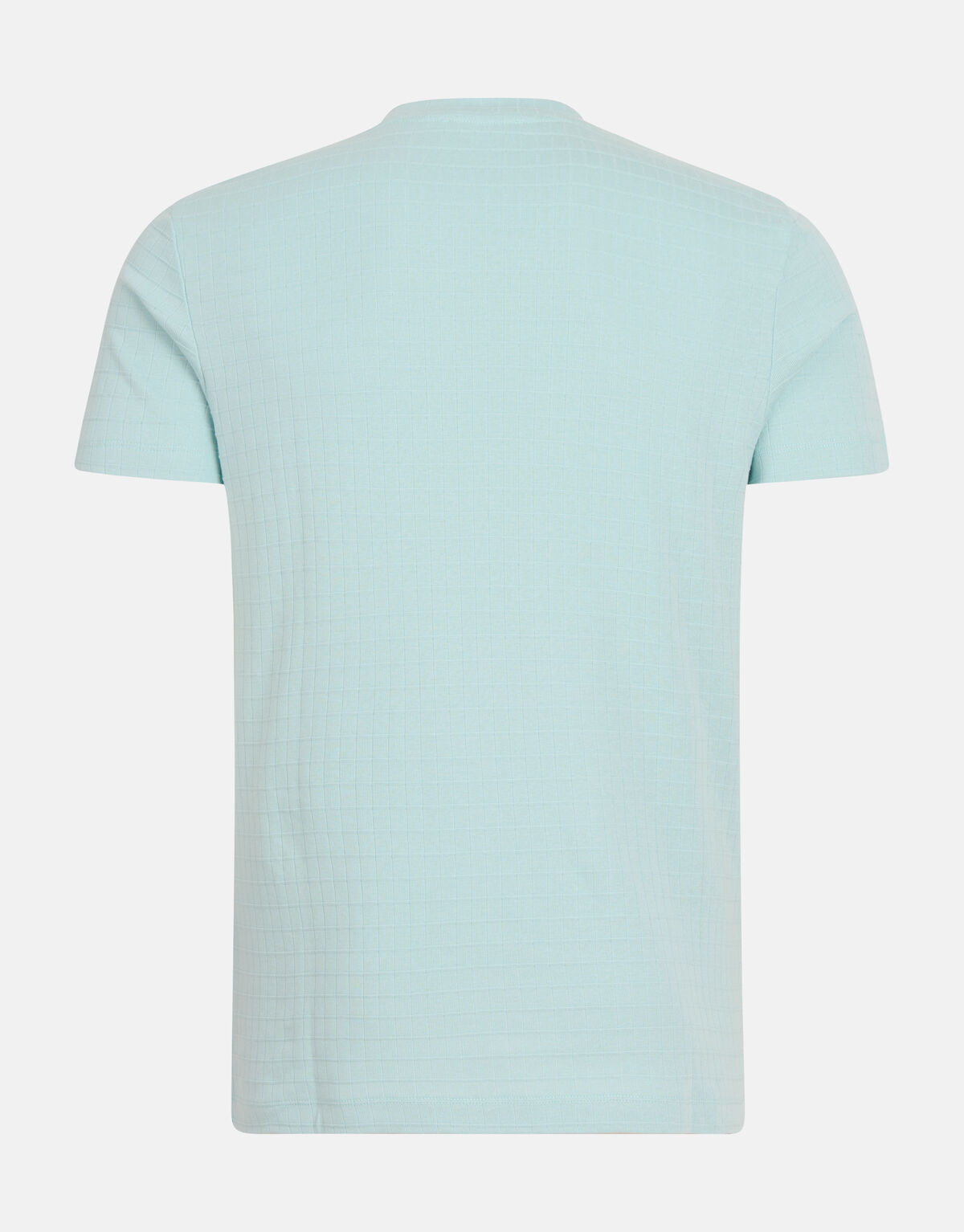 Struktur-T-Shirt Hellgrün SHOEBY MEN