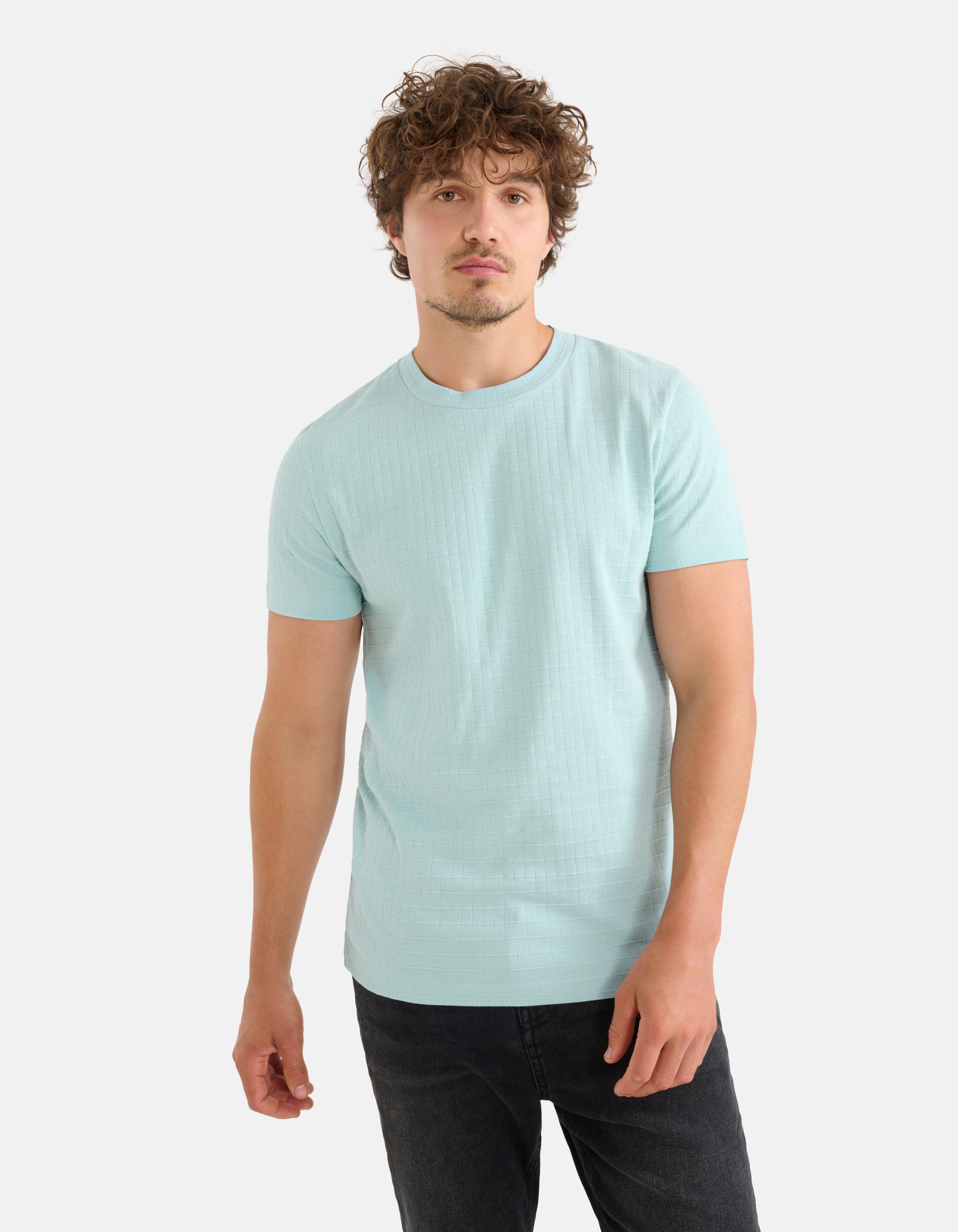 Struktur-T-Shirt Hellgrün SHOEBY MEN