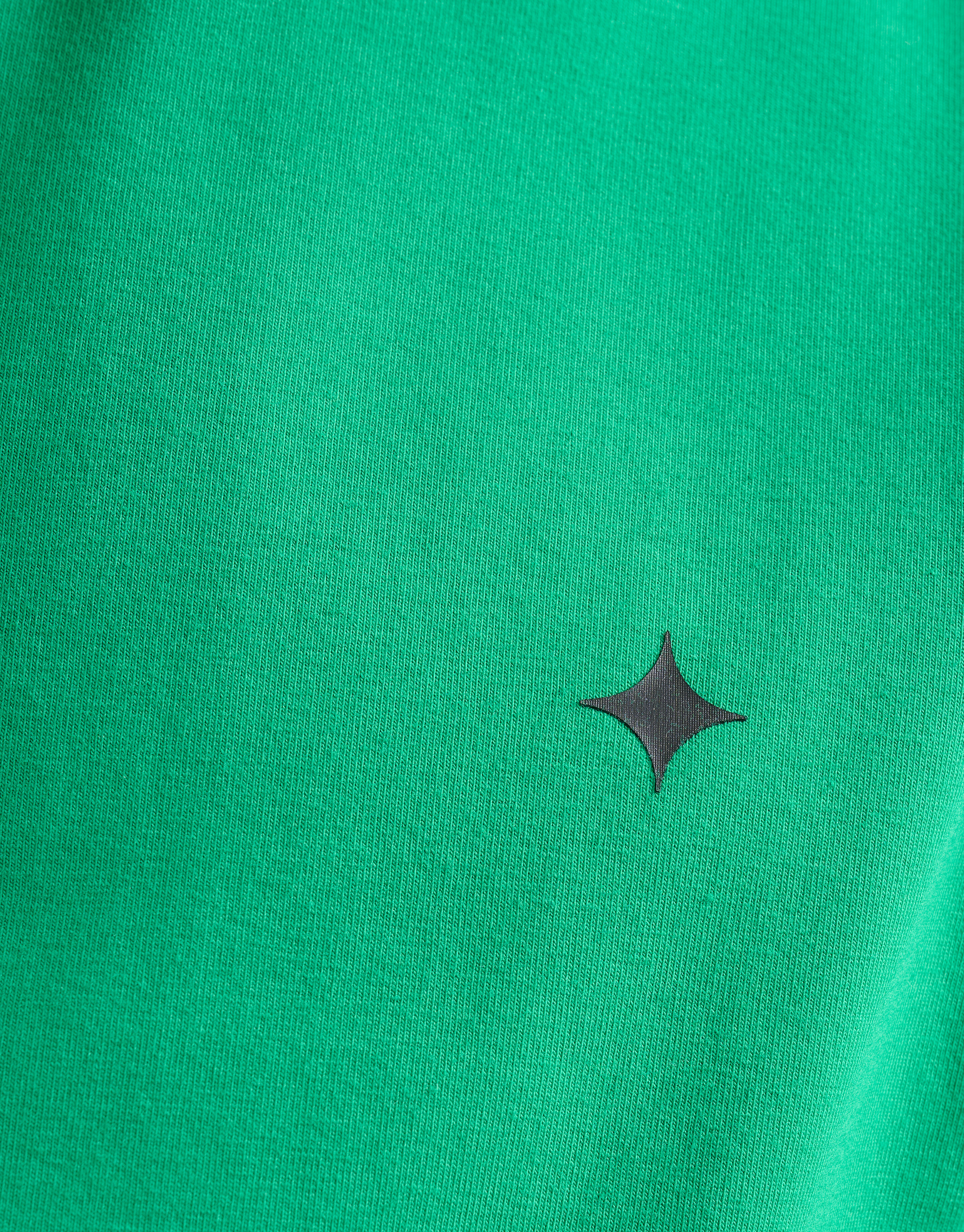 Jersey Polo Grün SHOEBY MEN