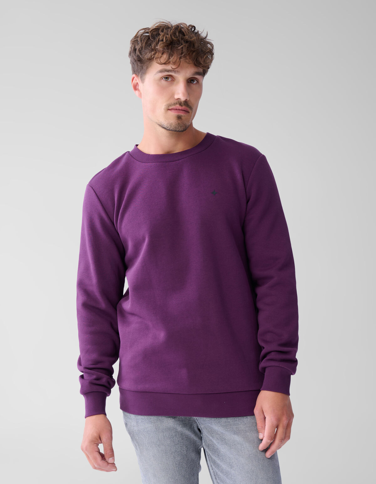 Glitzerpulli Dunkelrot SHOEBY MEN