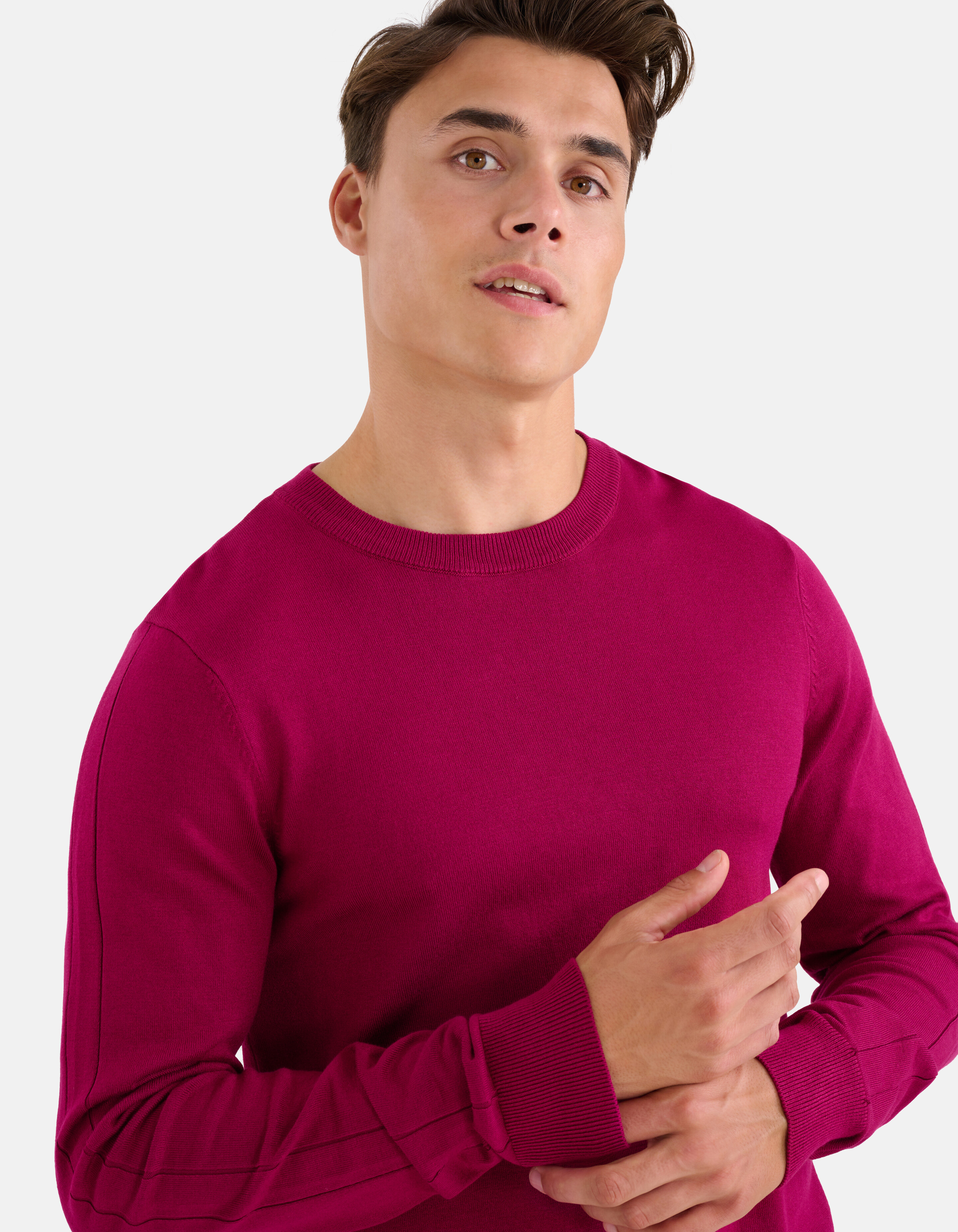 Pullover mit Rundhalsausschnitt Lila SHOEBY MEN