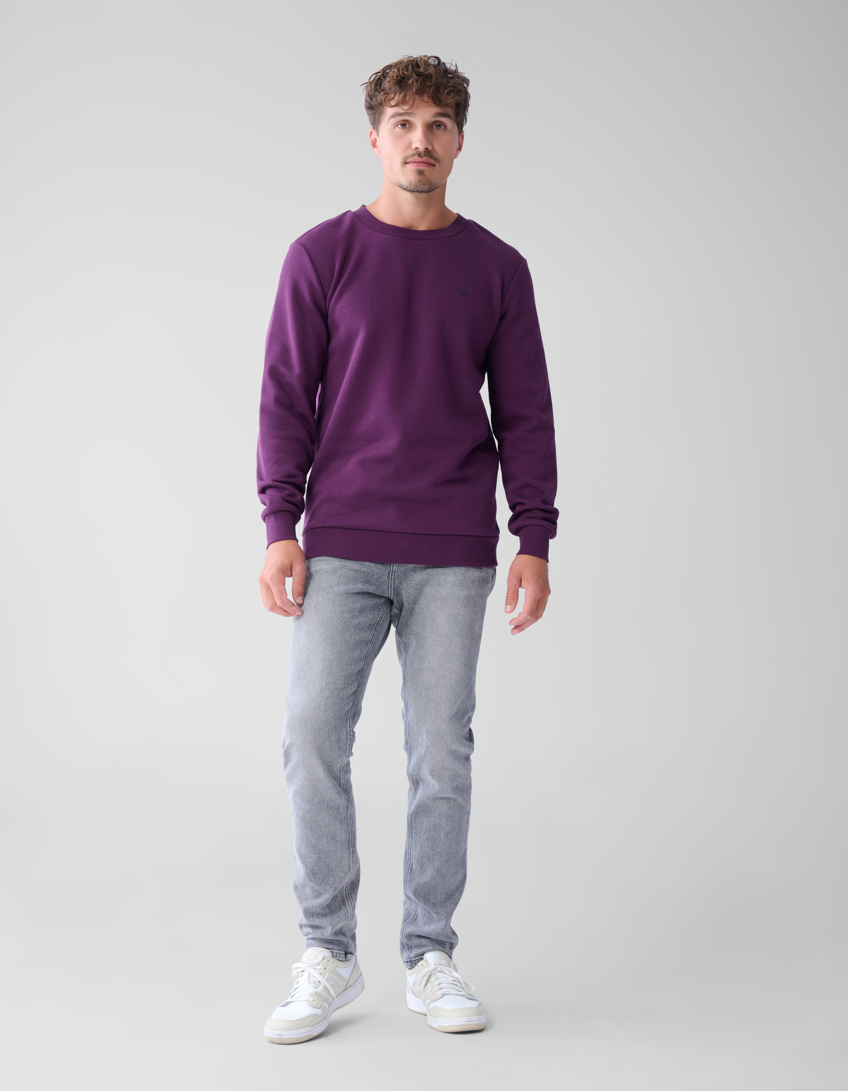 Glitzerpulli Dunkelrot SHOEBY MEN