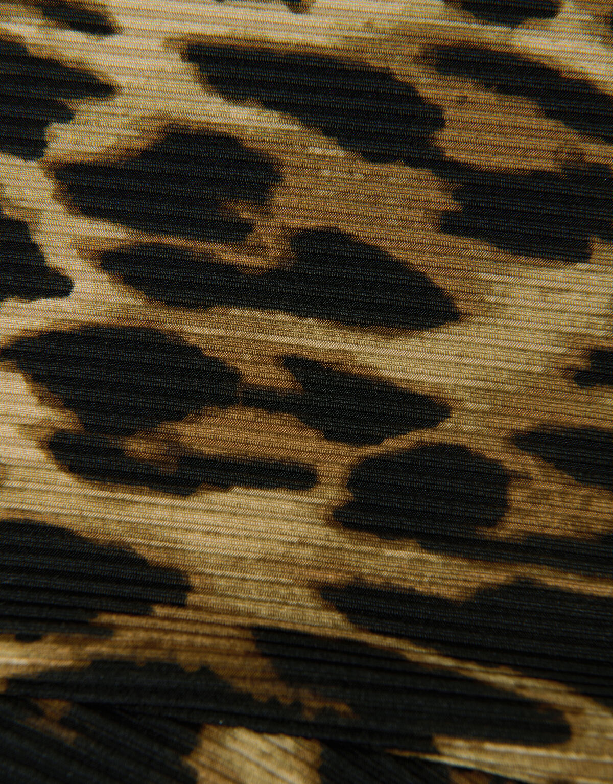 Schlaghosen-Leggings aus Rippstoff Animal SHOEBY WOMEN