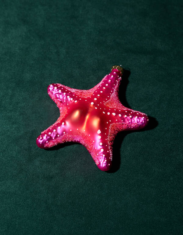 Seestern Weihnachtskugel Rosa By Fred SHOEBY ACCESSOIRES