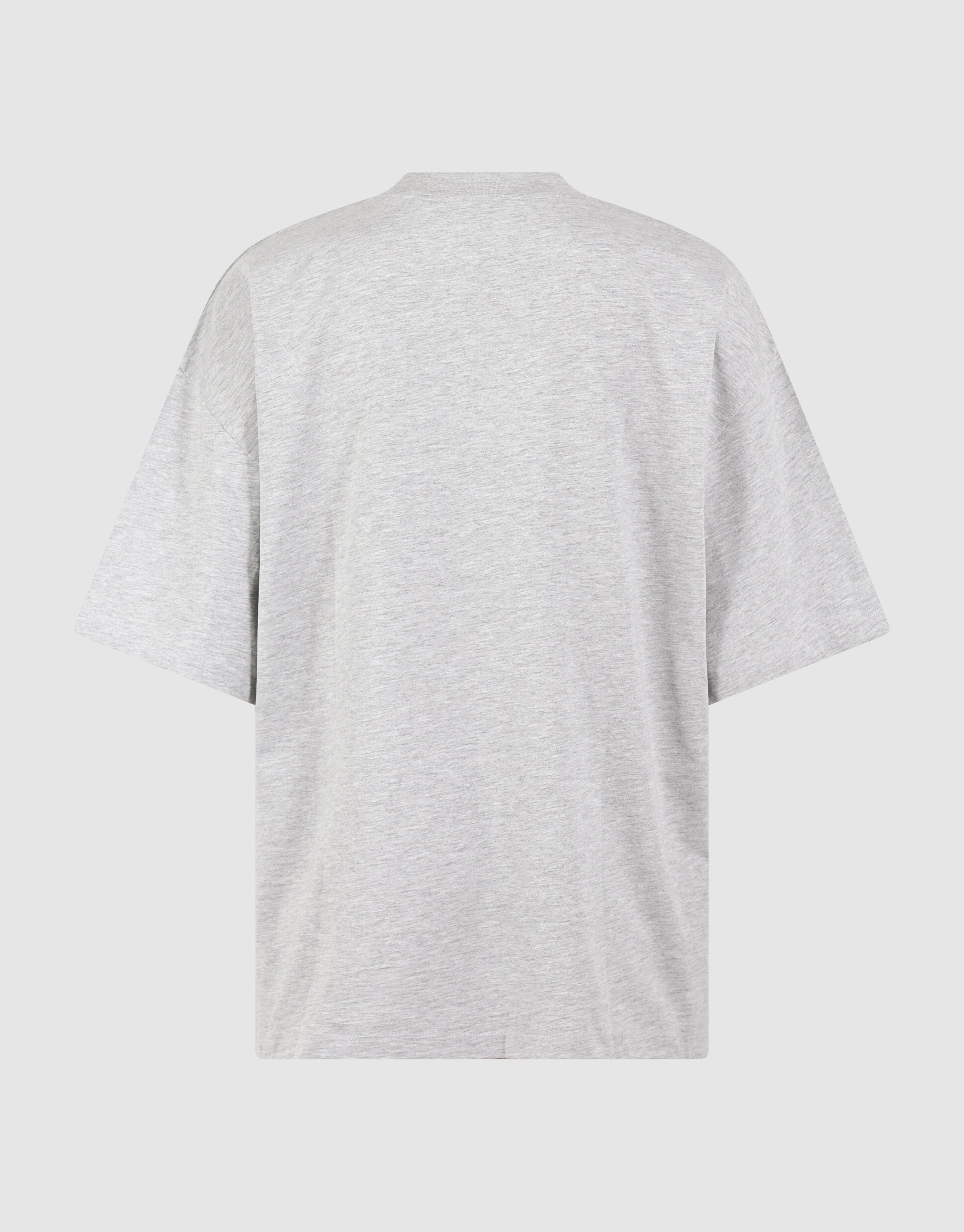 Grafik-Kunst T-Shirt Hellgrau SHOEBY WOMEN