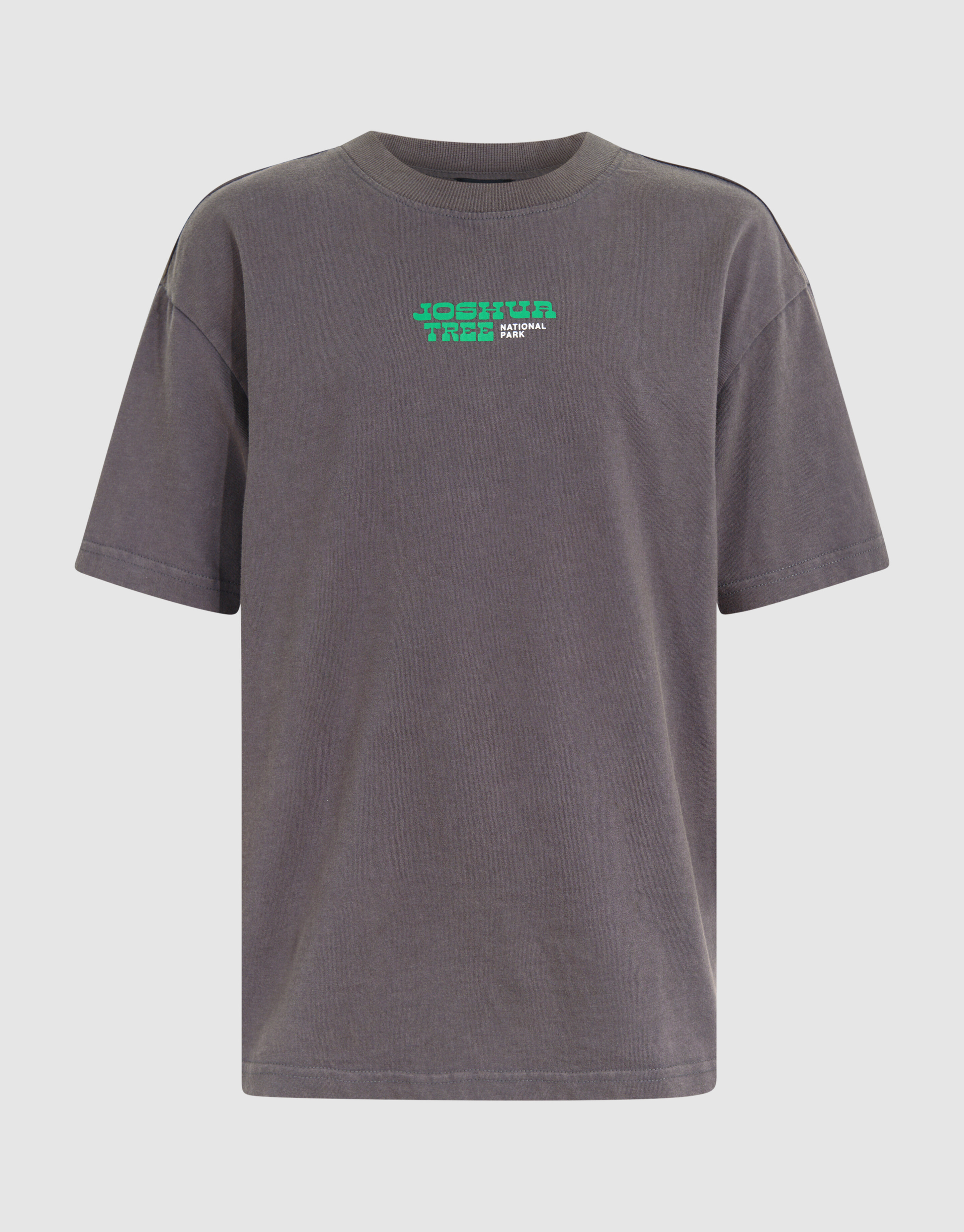 Park Artwork T-Shirt Dark Grey SHOEBY BOYS