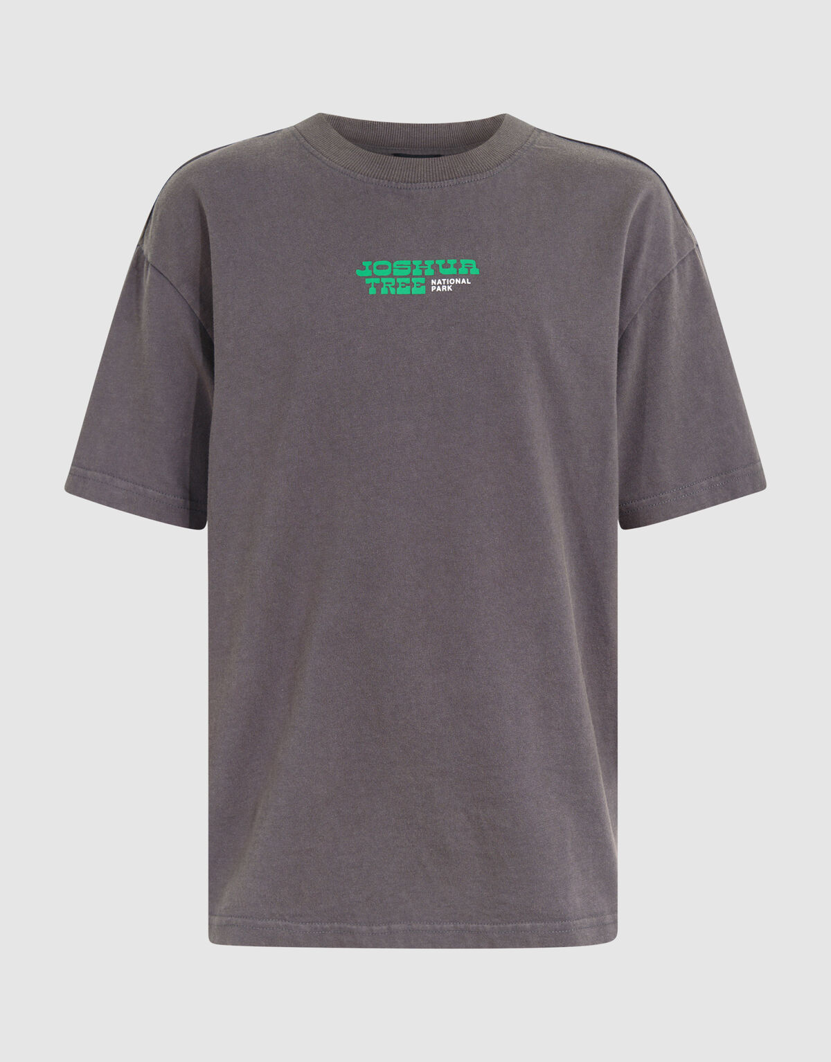 Park Artwork T-Shirt Dark Grey SHOEBY BOYS