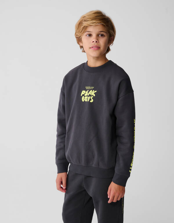 Peak Artwork Pullover Dunkelgrau SHOEBY BOYS