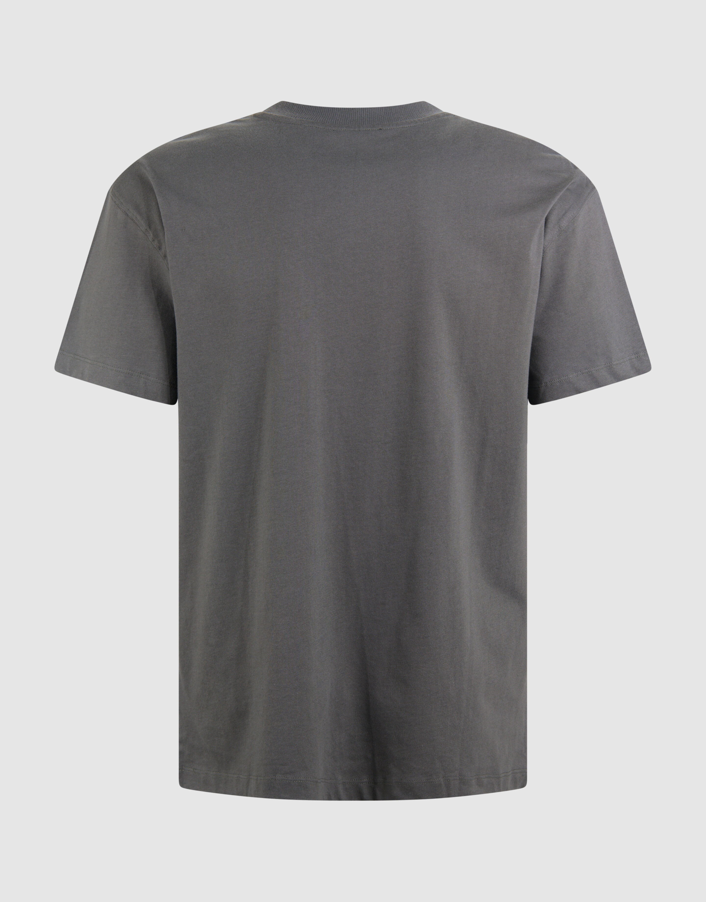 Flock Line Artwork T-shirt Dunkelgrün SHOEBY MEN