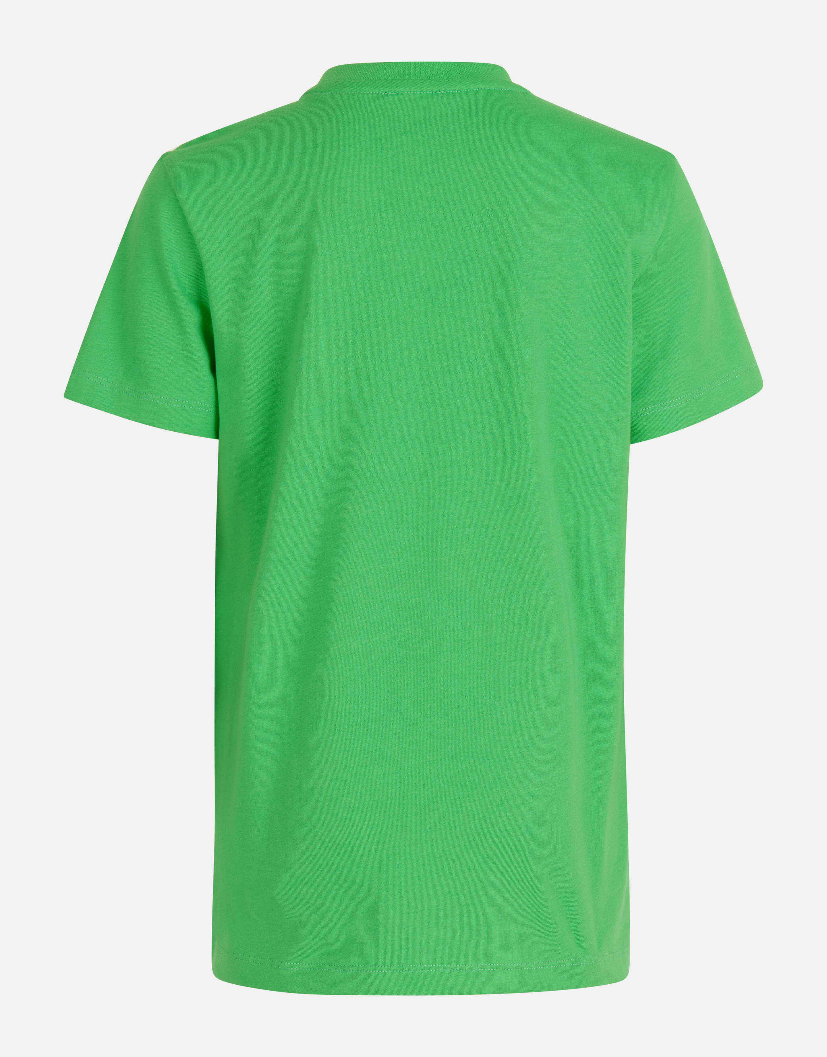 Kunstwerk T-shirt Grün von Dylan SHOEBY BOYS