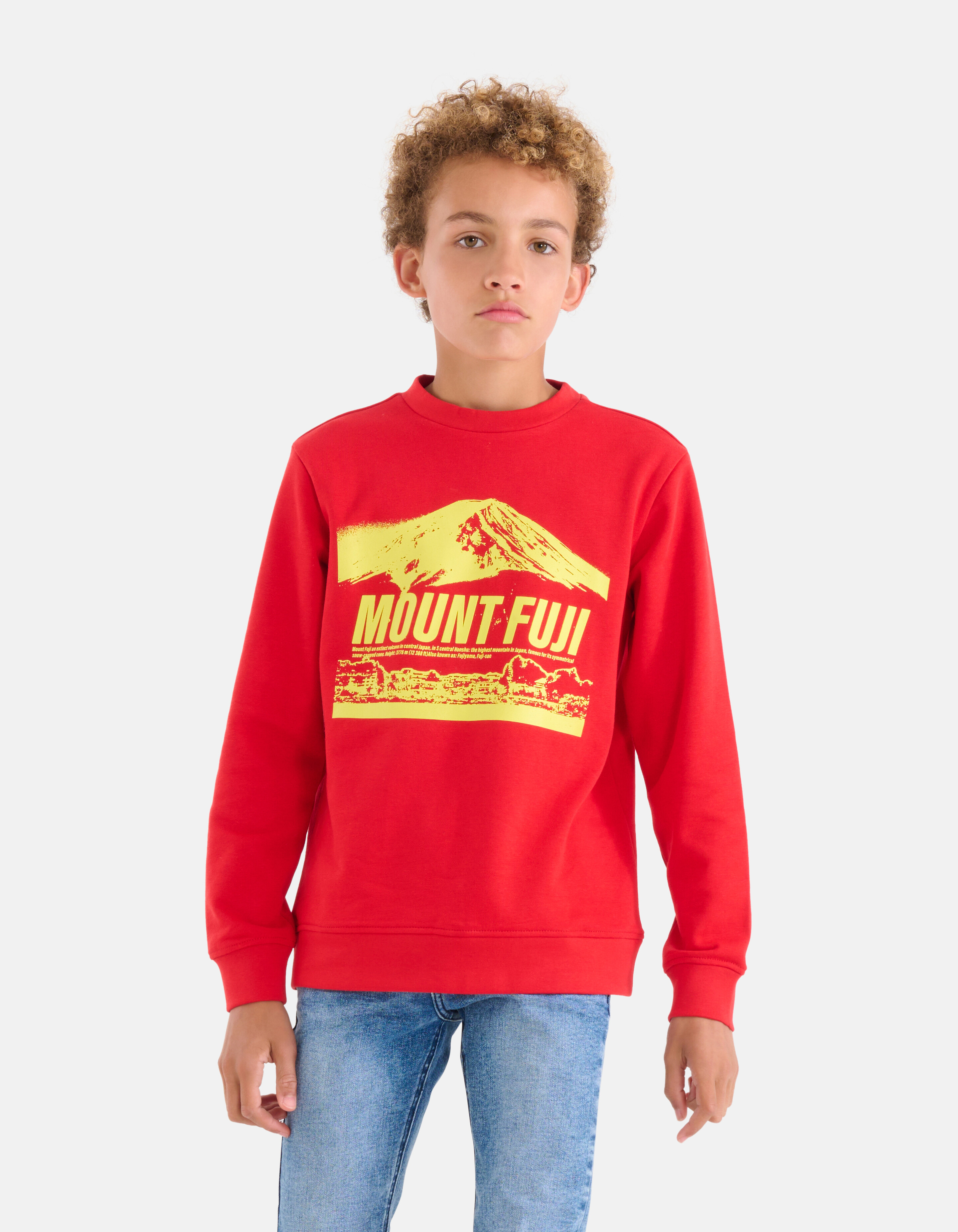 Bedruckter Pullover Rot SHOEBY BOYS
