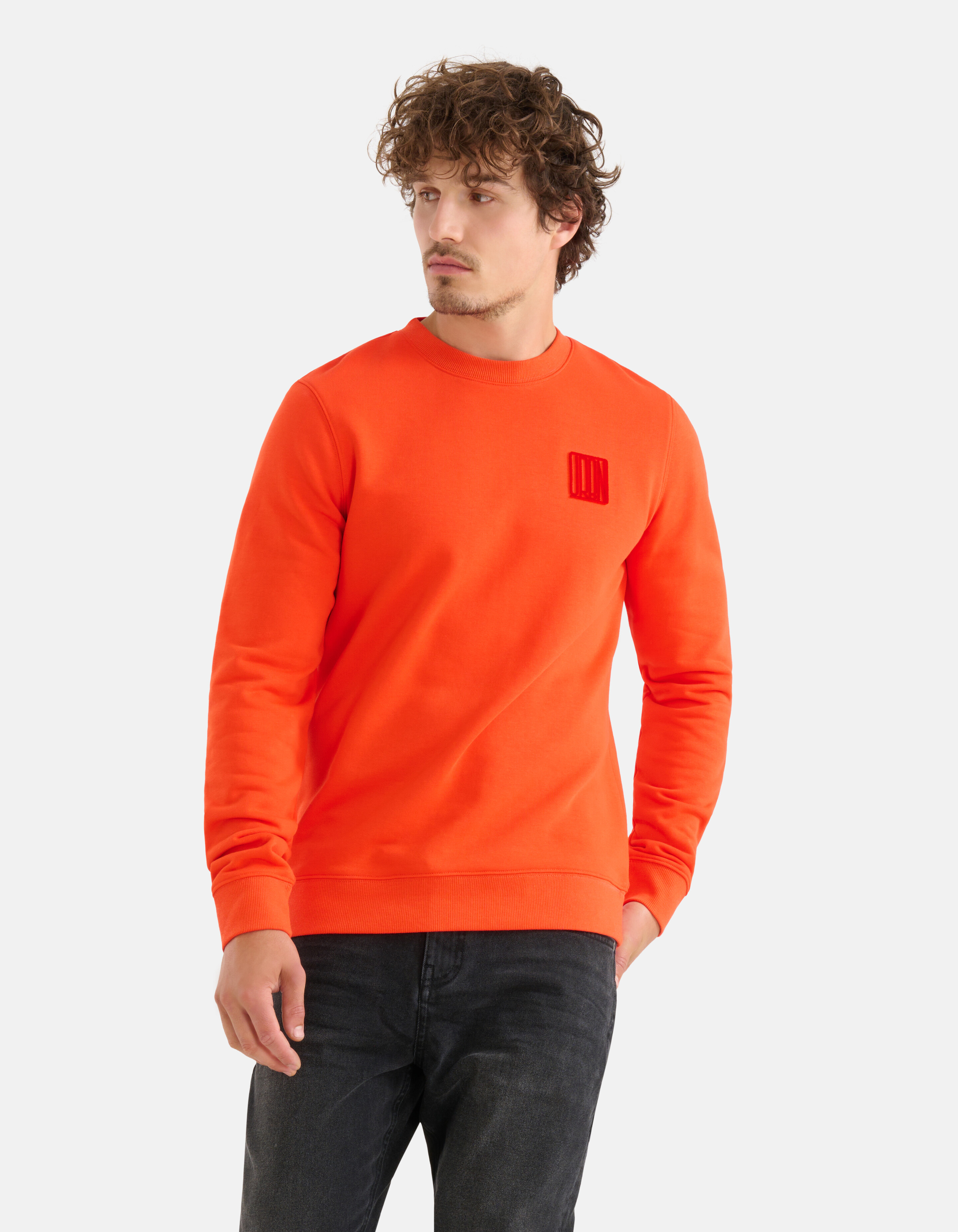 Gestickter Pullover Rot SHOEBY MEN